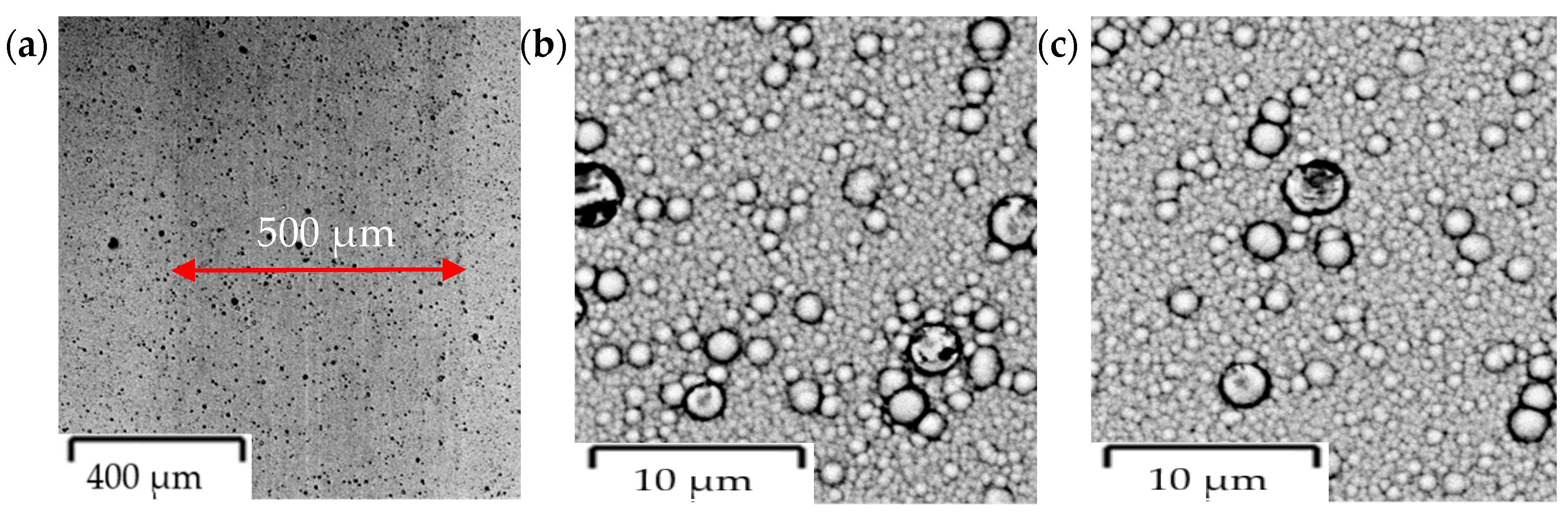 Coatings 14 00342 g017