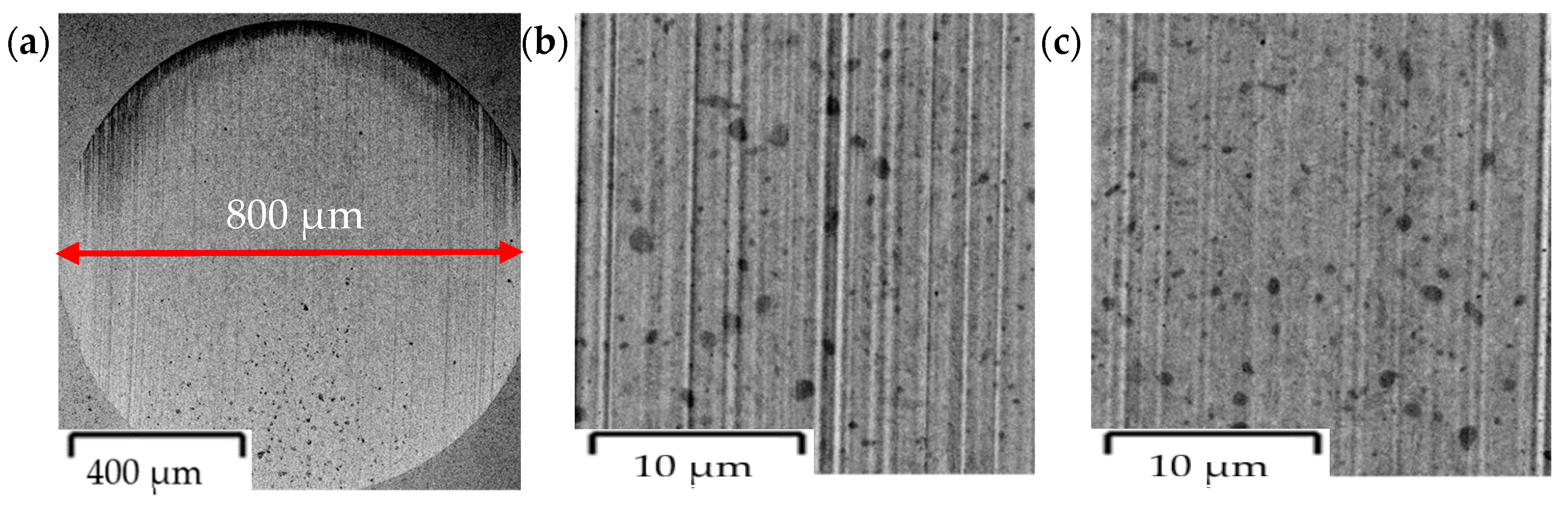 Coatings 14 00342 g018