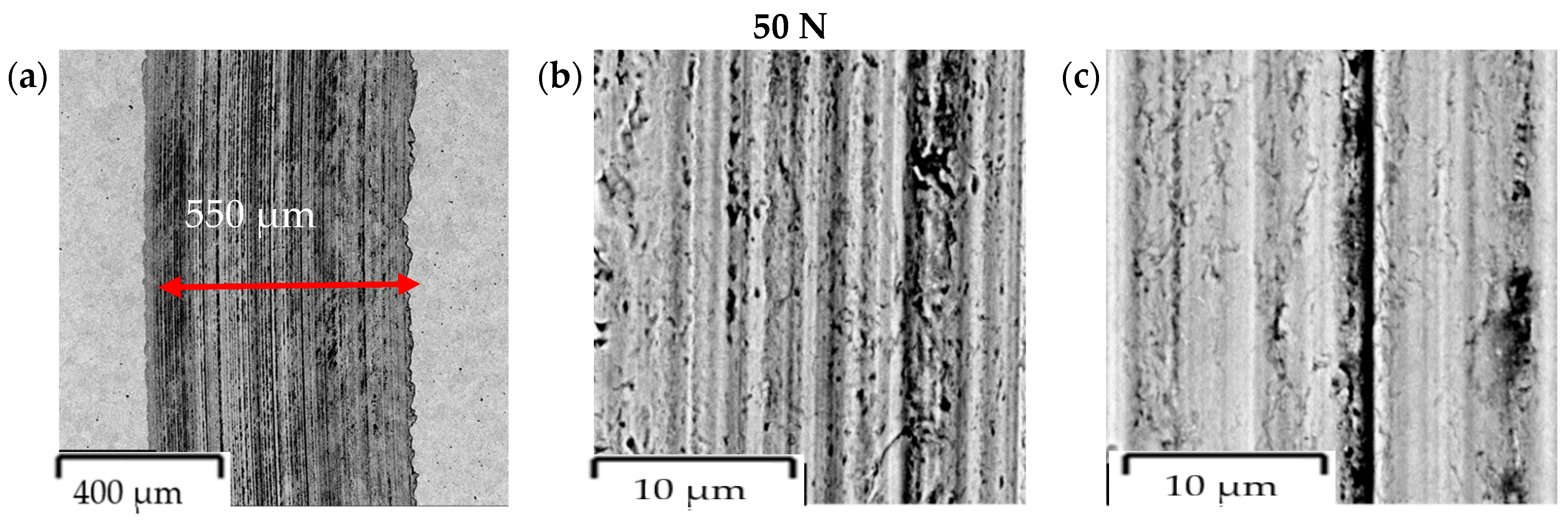 Coatings 14 00342 g019