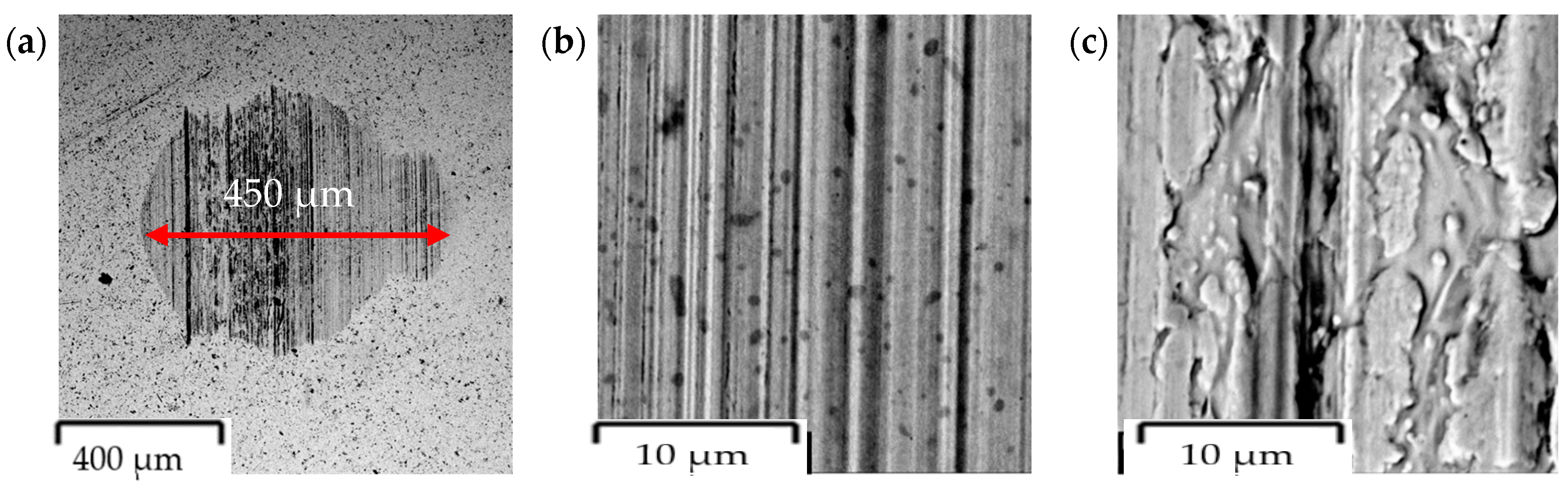 Coatings 14 00342 g020