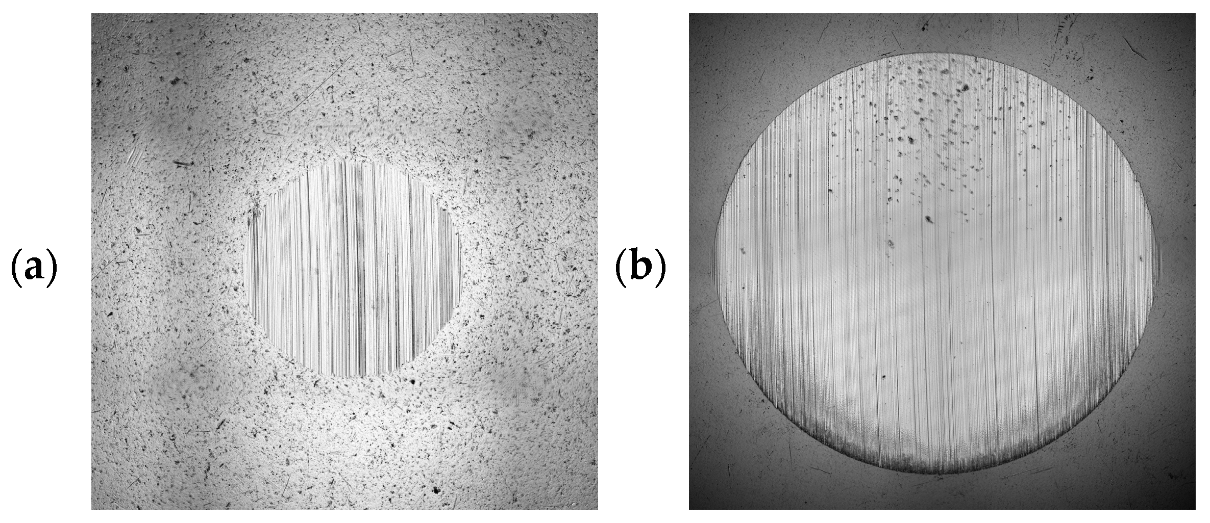 Coatings 14 00342 g025