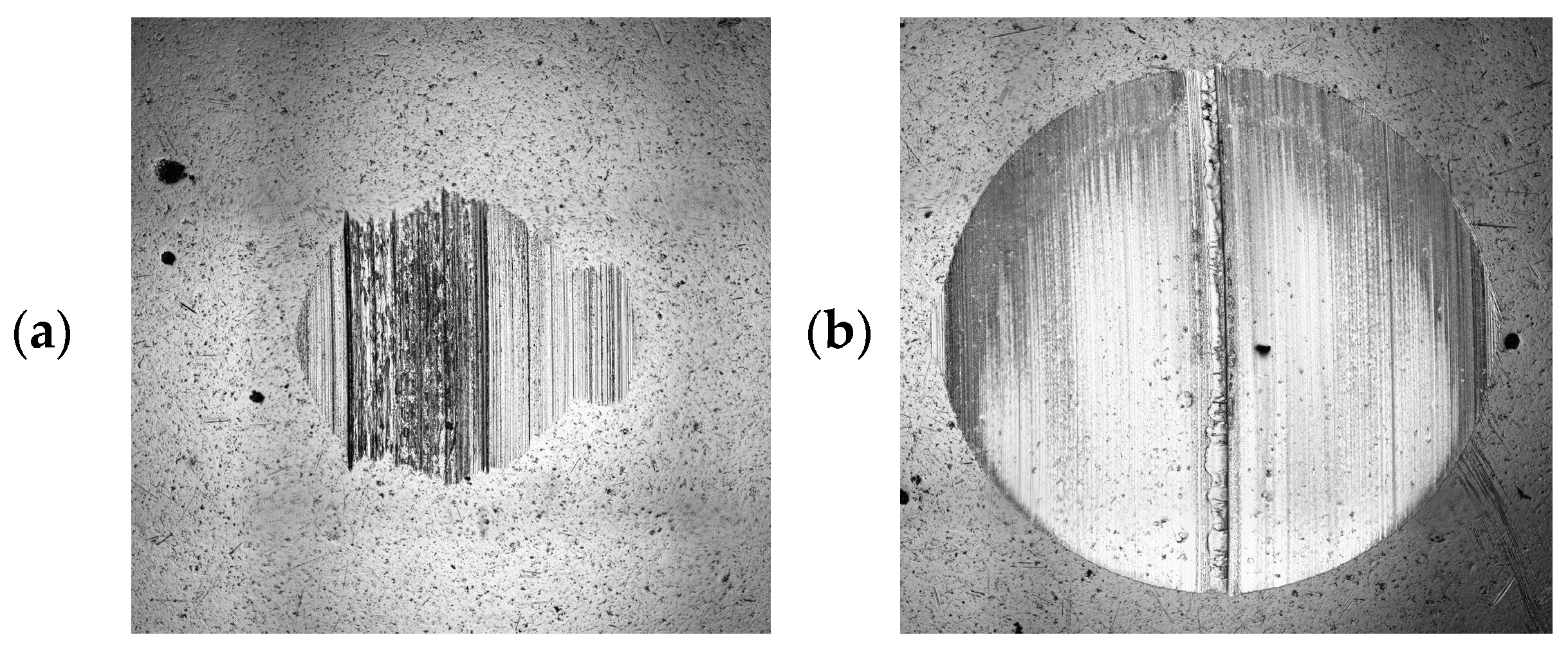 Coatings 14 00342 g026