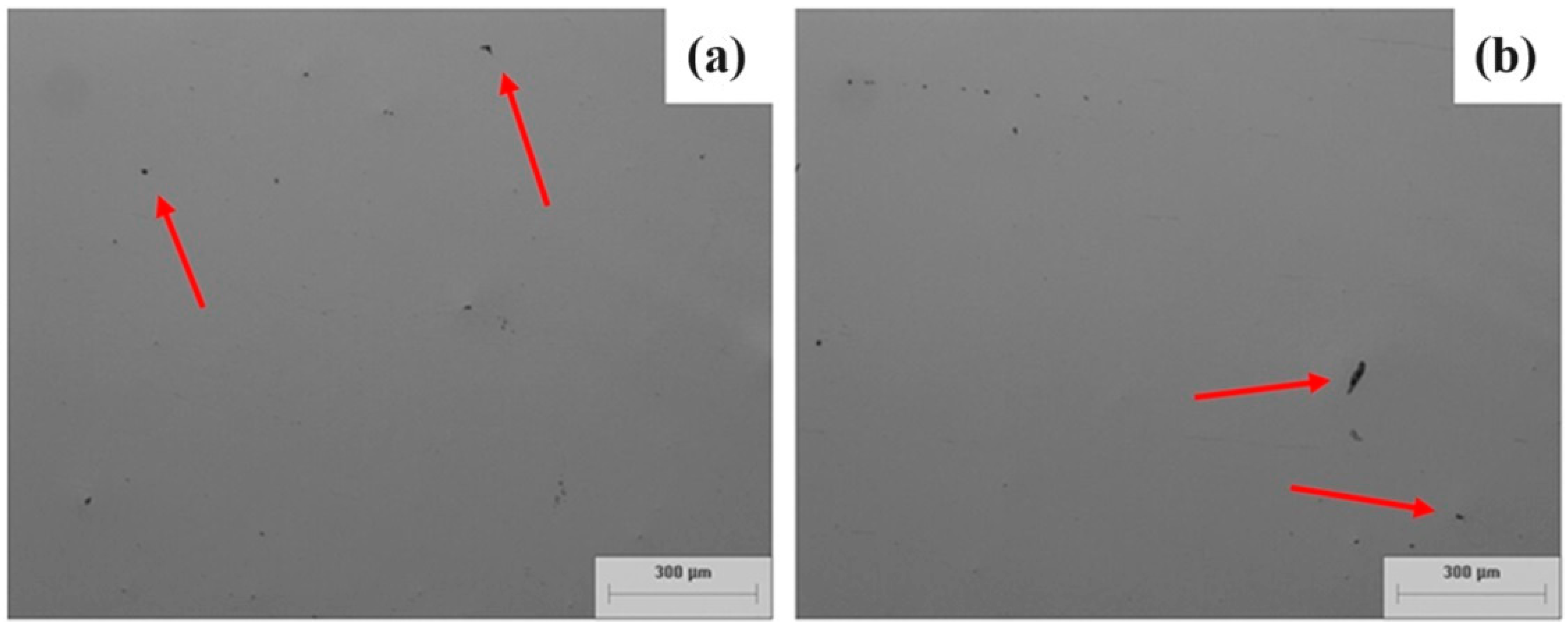 Coatings 14 00343 g006