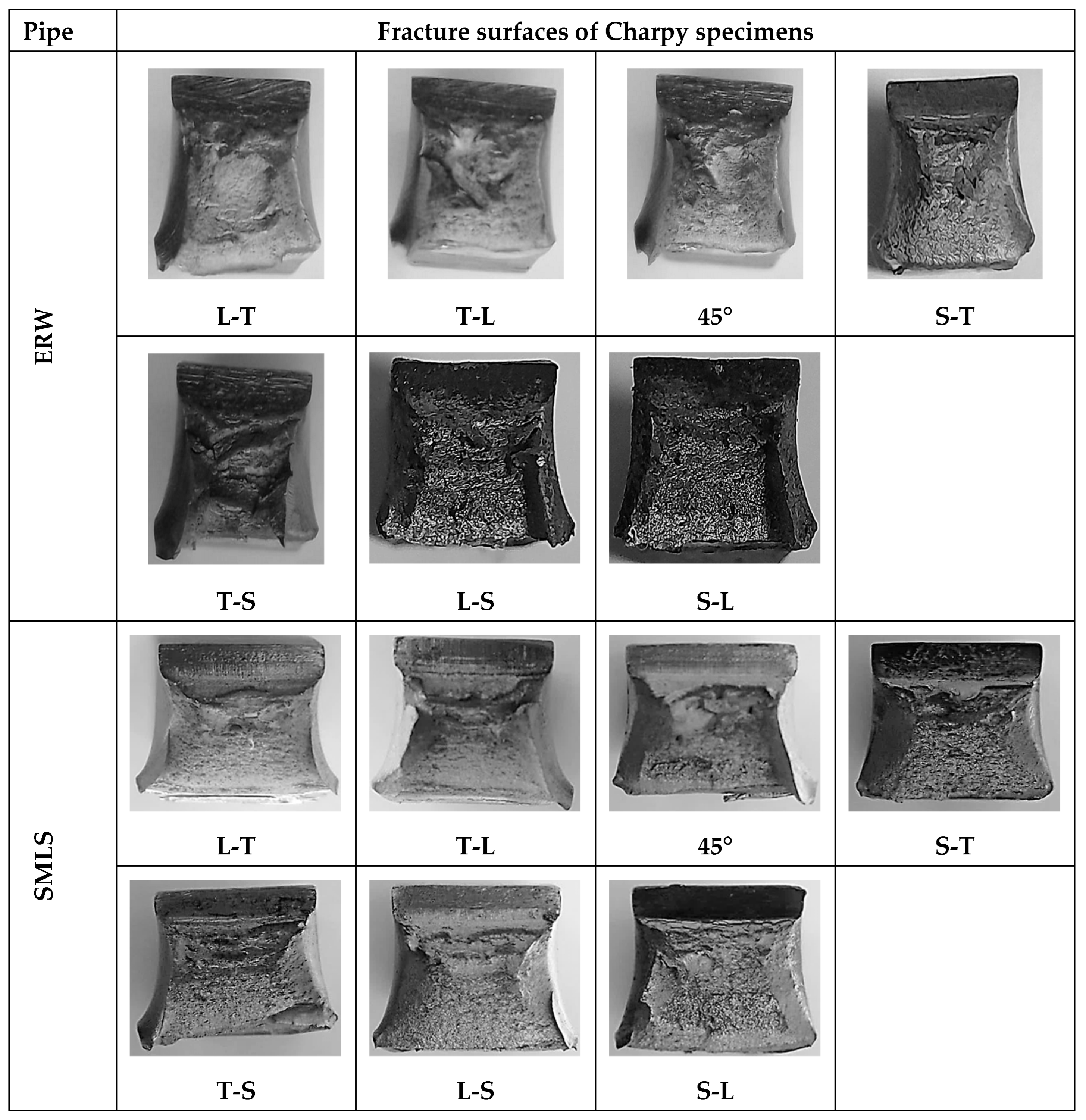 Coatings 14 00343 g008