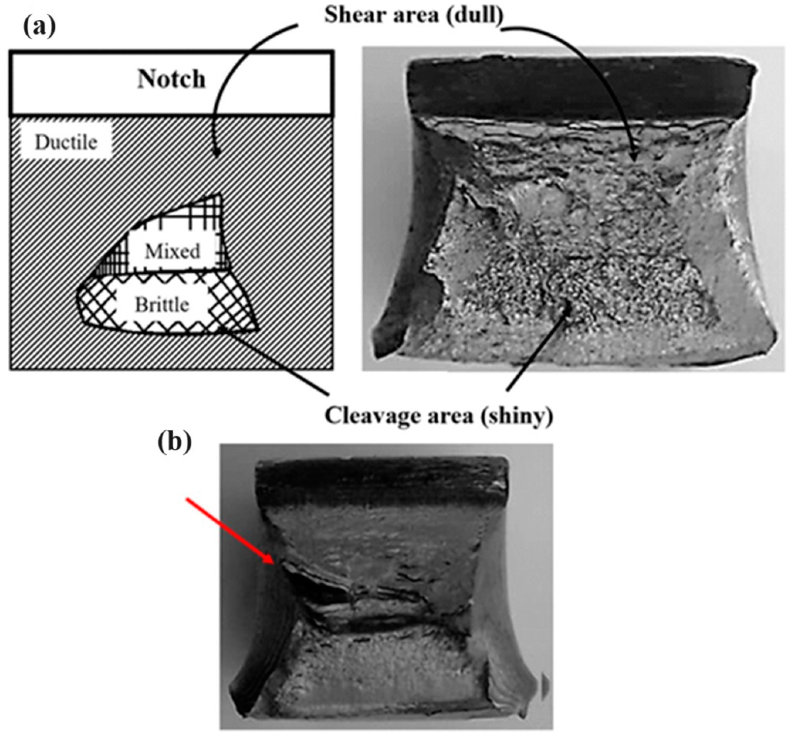 Coatings 14 00343 g009