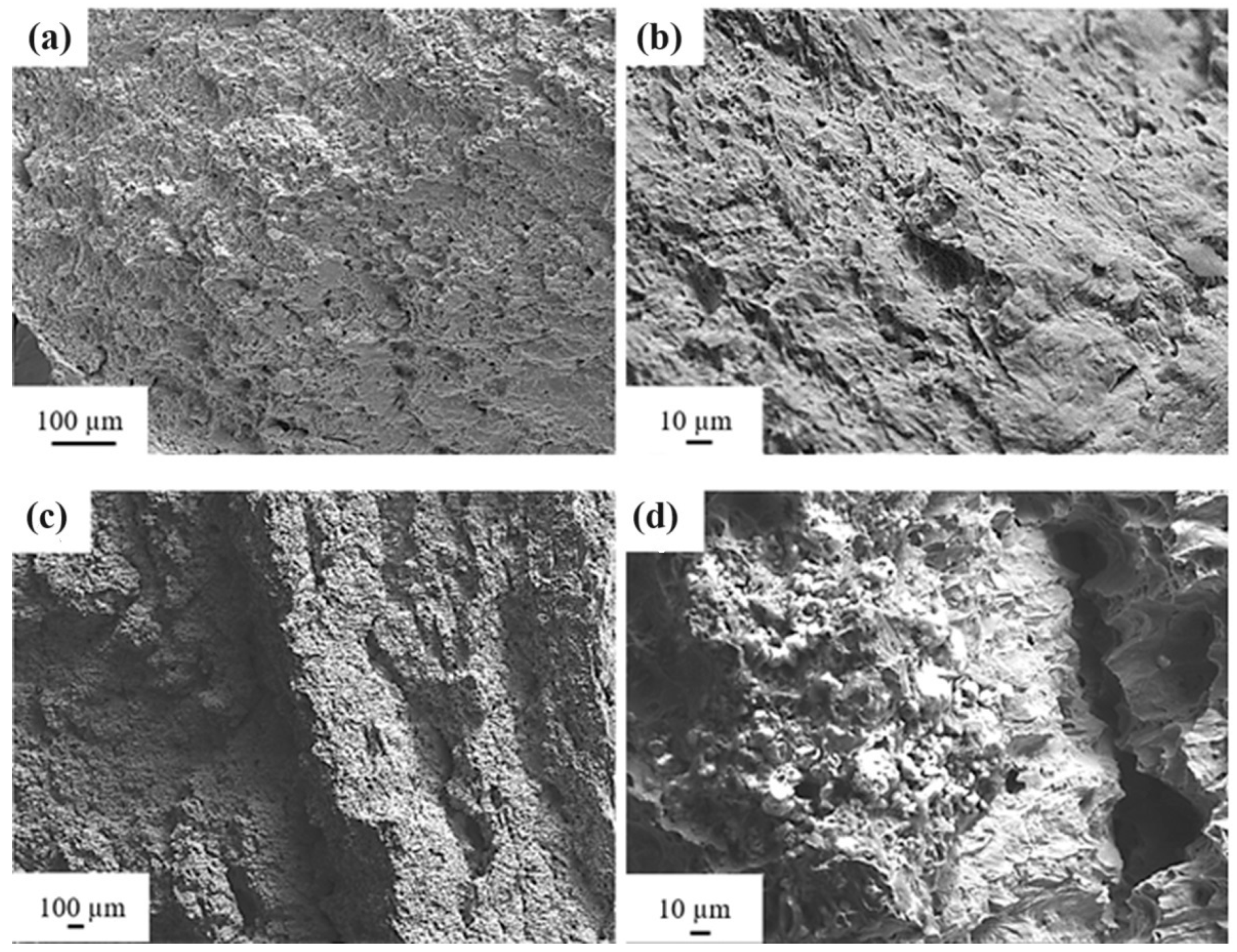 Coatings 14 00343 g010