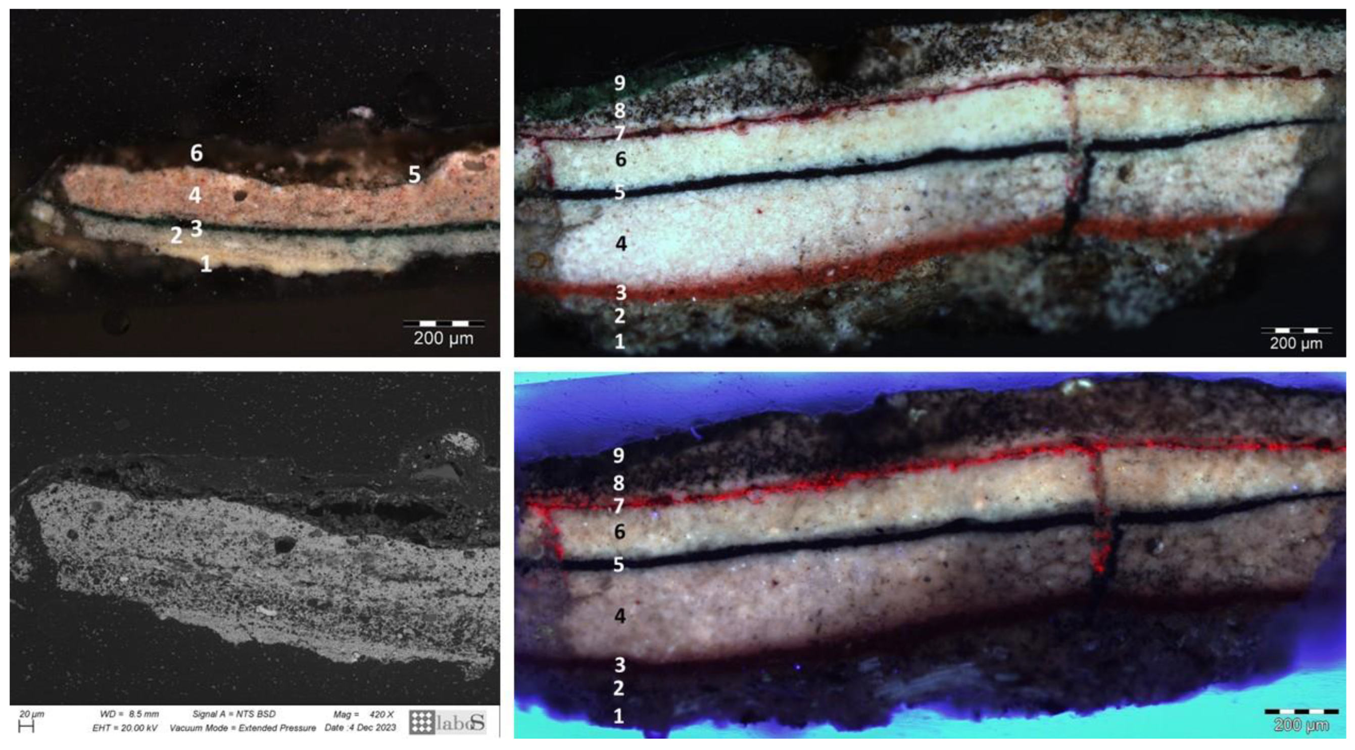 Coatings 14 00344 g002