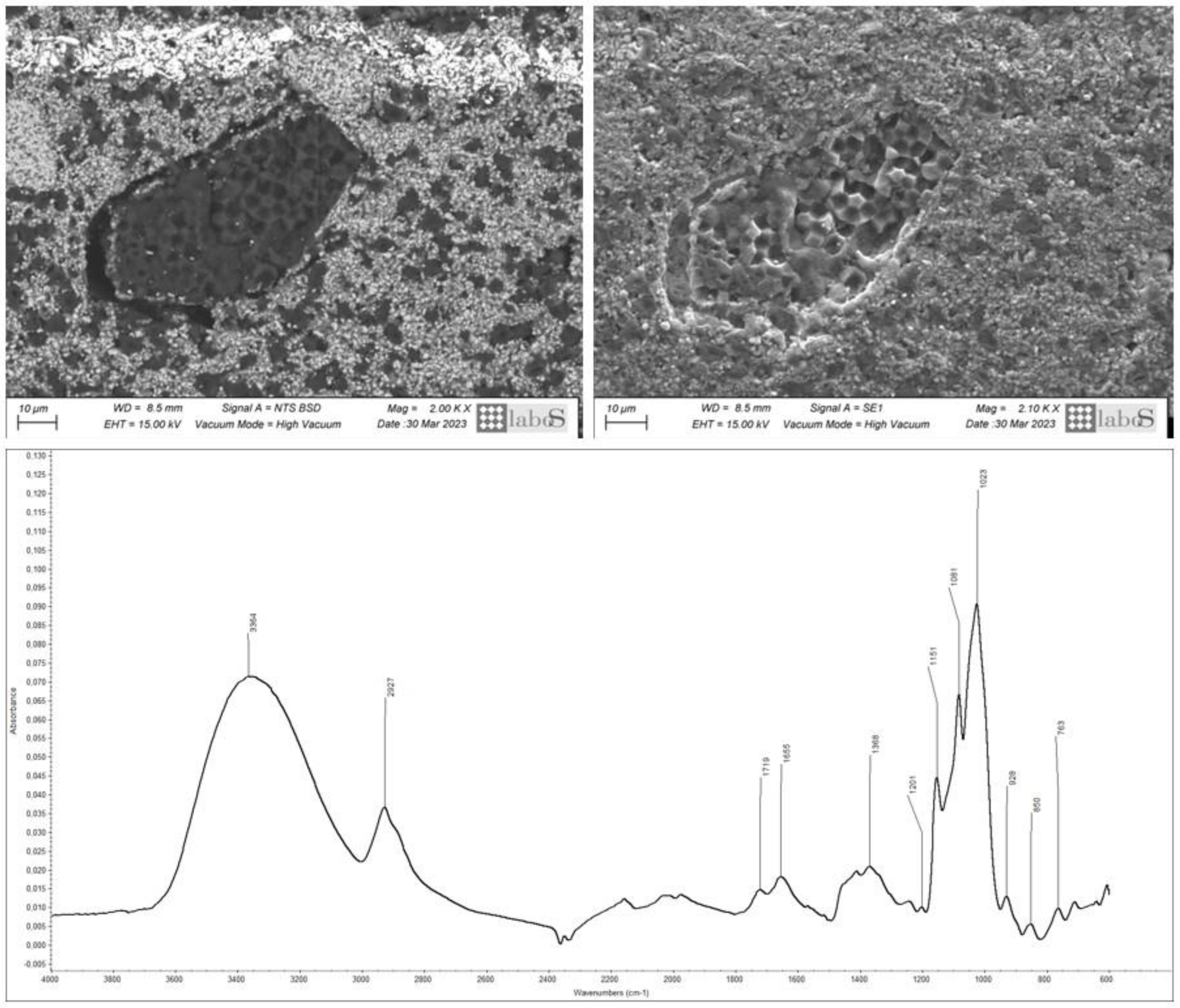 Coatings 14 00344 g006