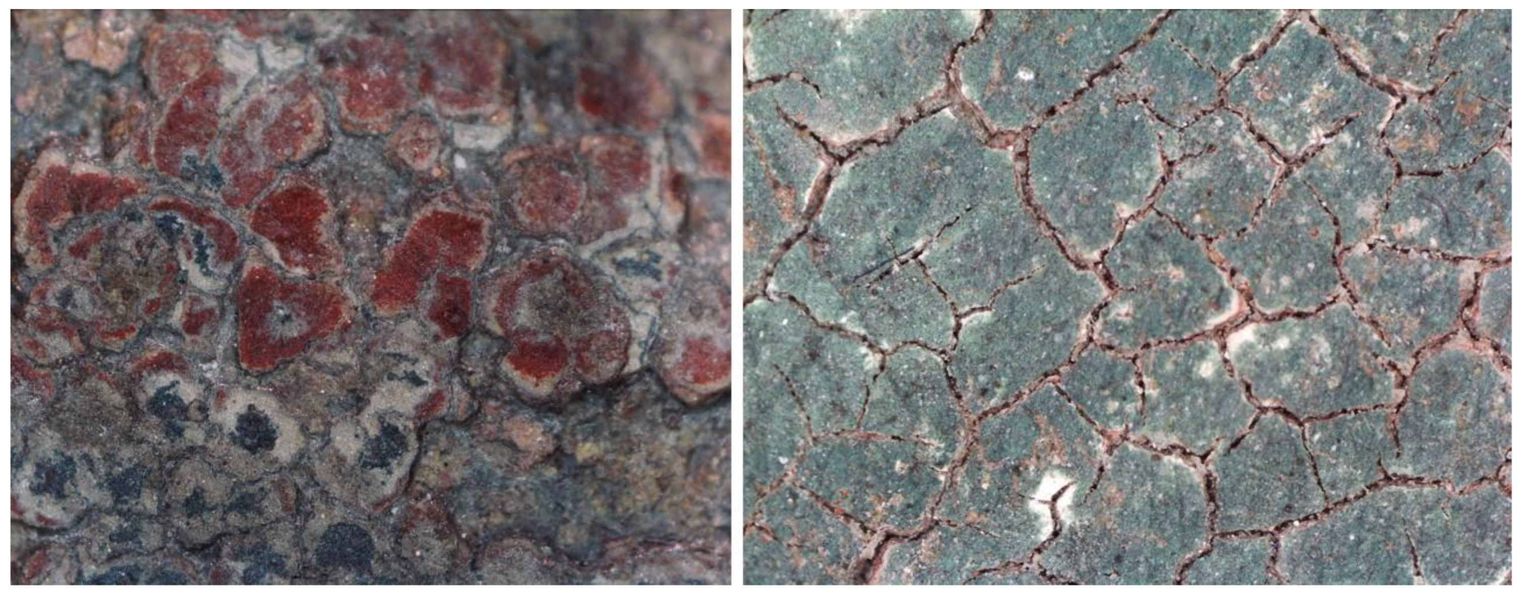 Coatings 14 00344 g007