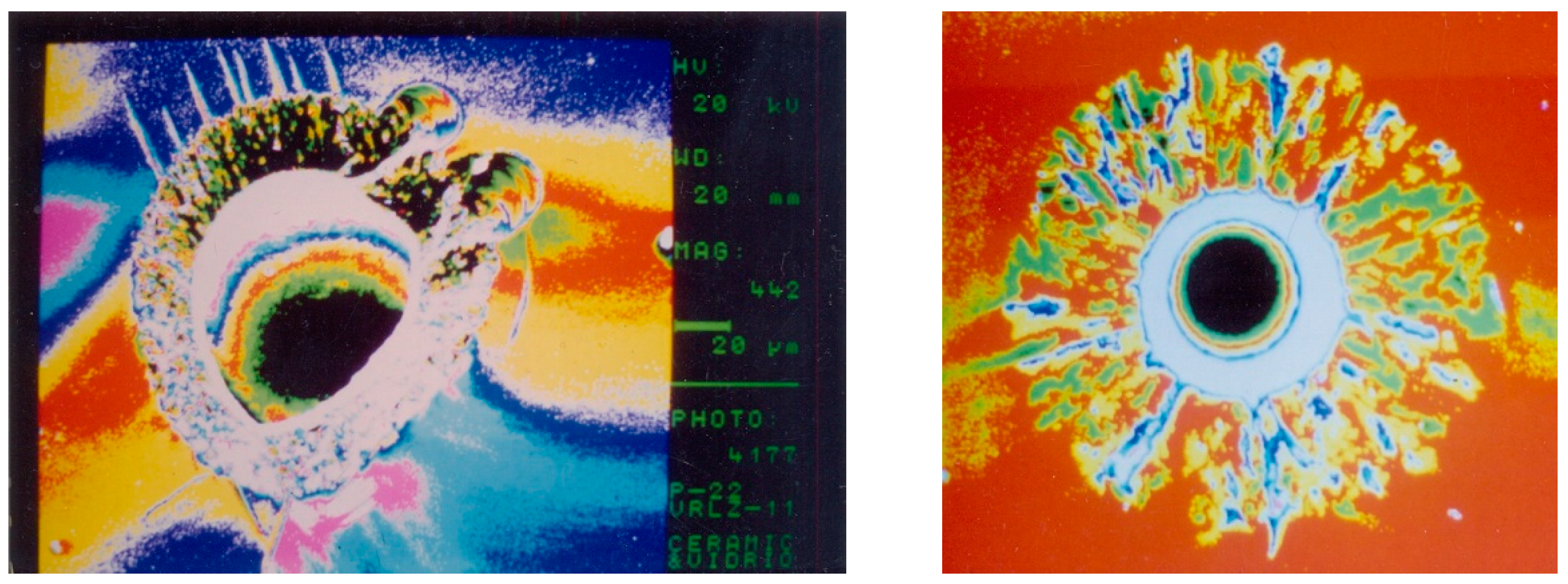 Coatings 14 00346 g001