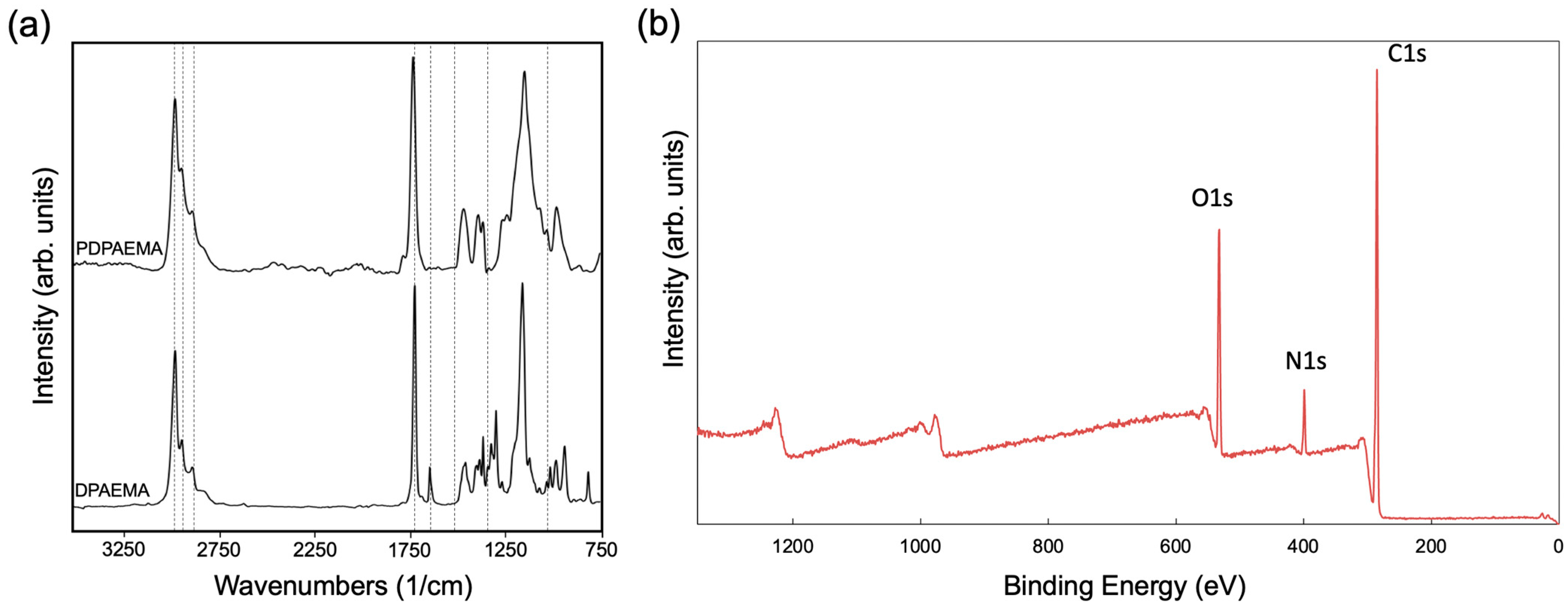 Coatings 14 00347 g004