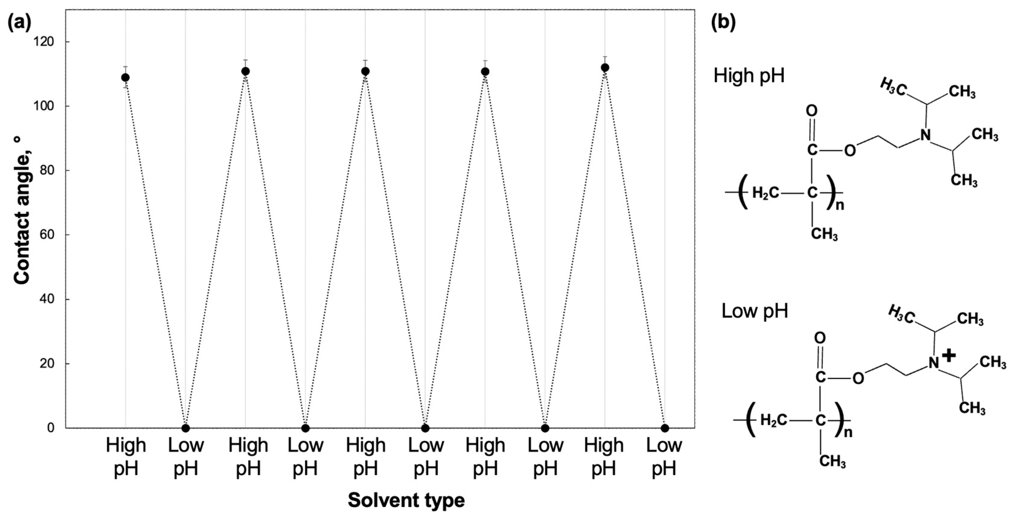 Coatings 14 00347 g006