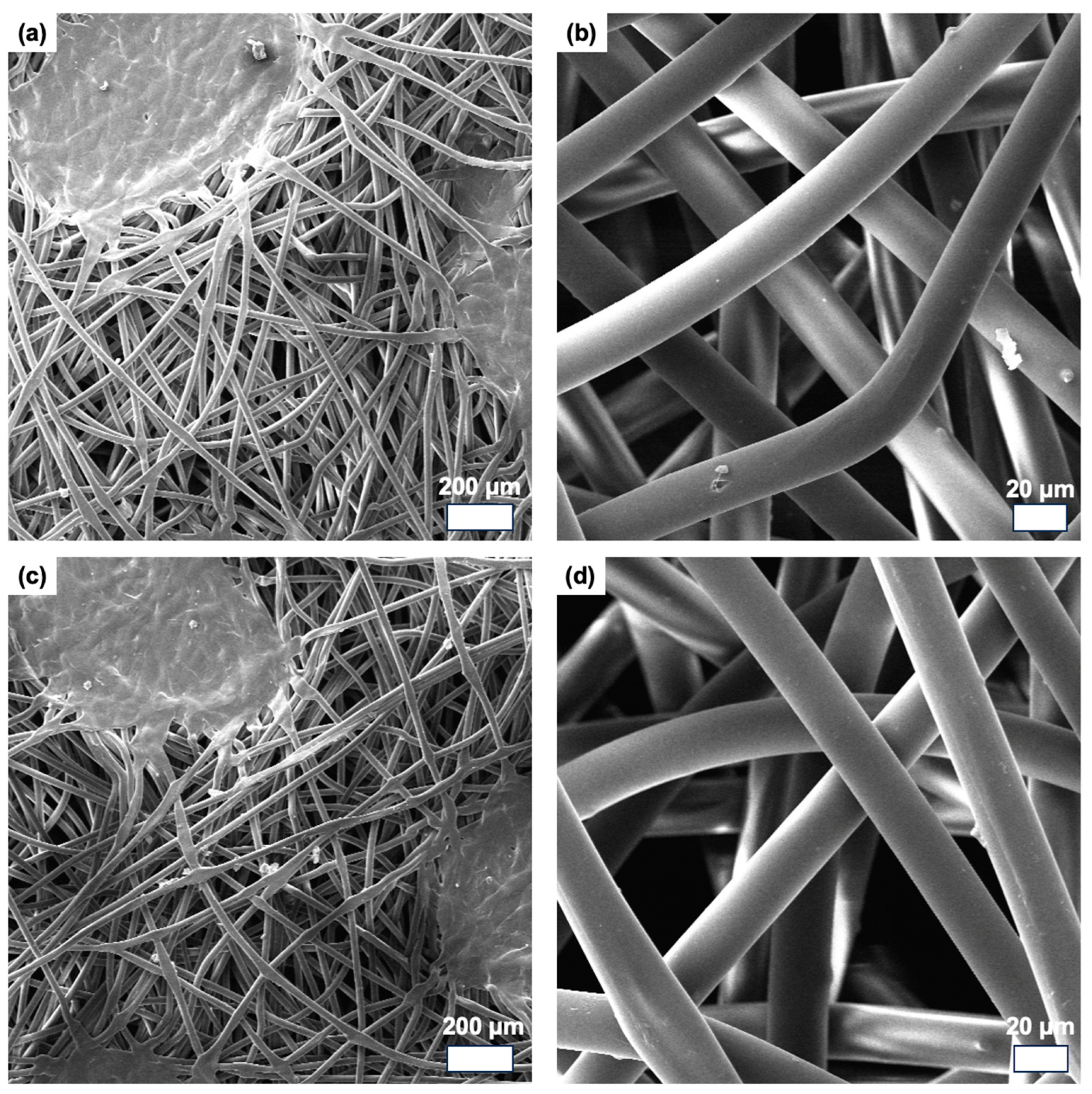 Coatings 14 00347 g007