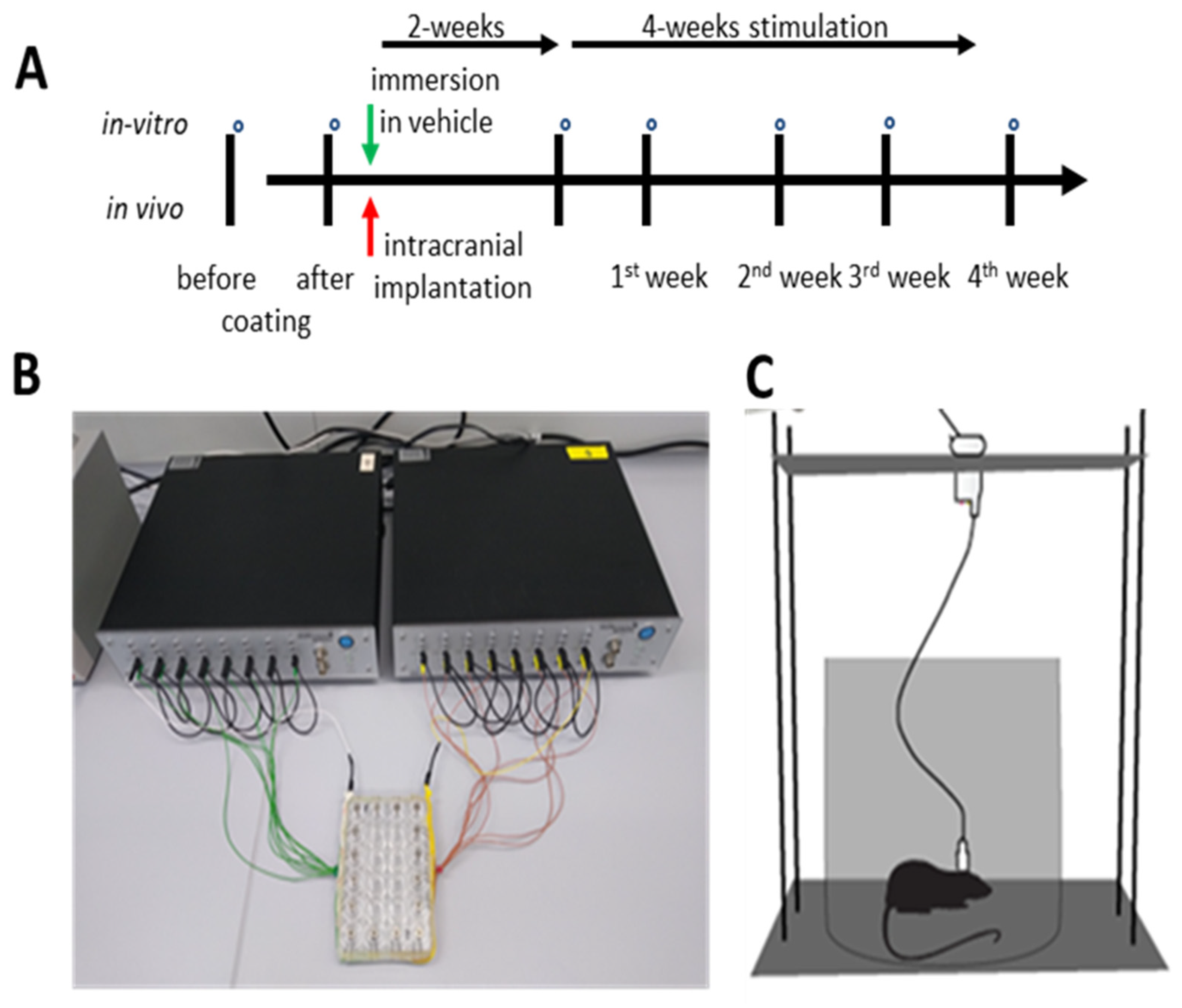 Coatings 14 00352 g001