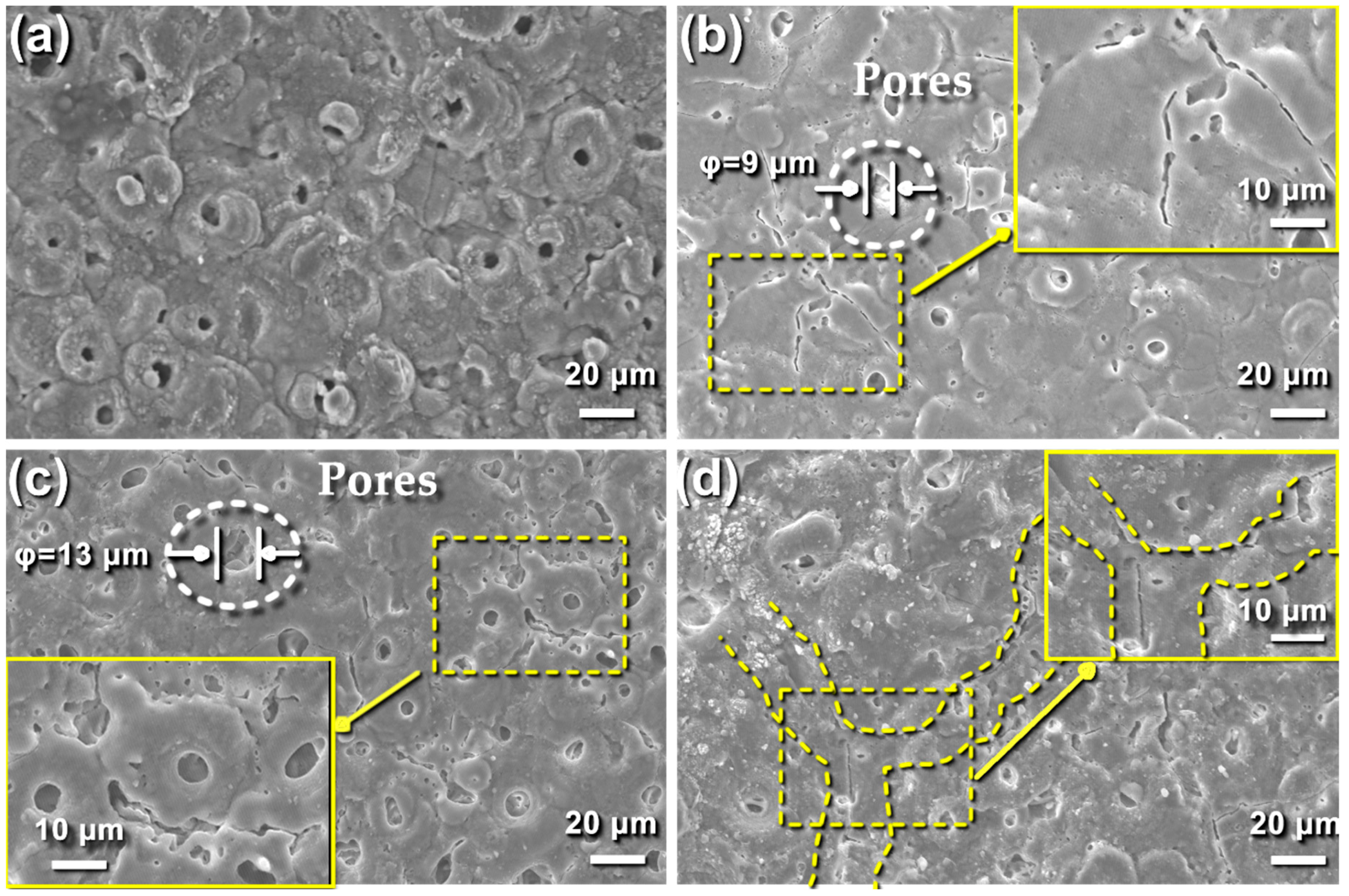Coatings 14 00353 g004
