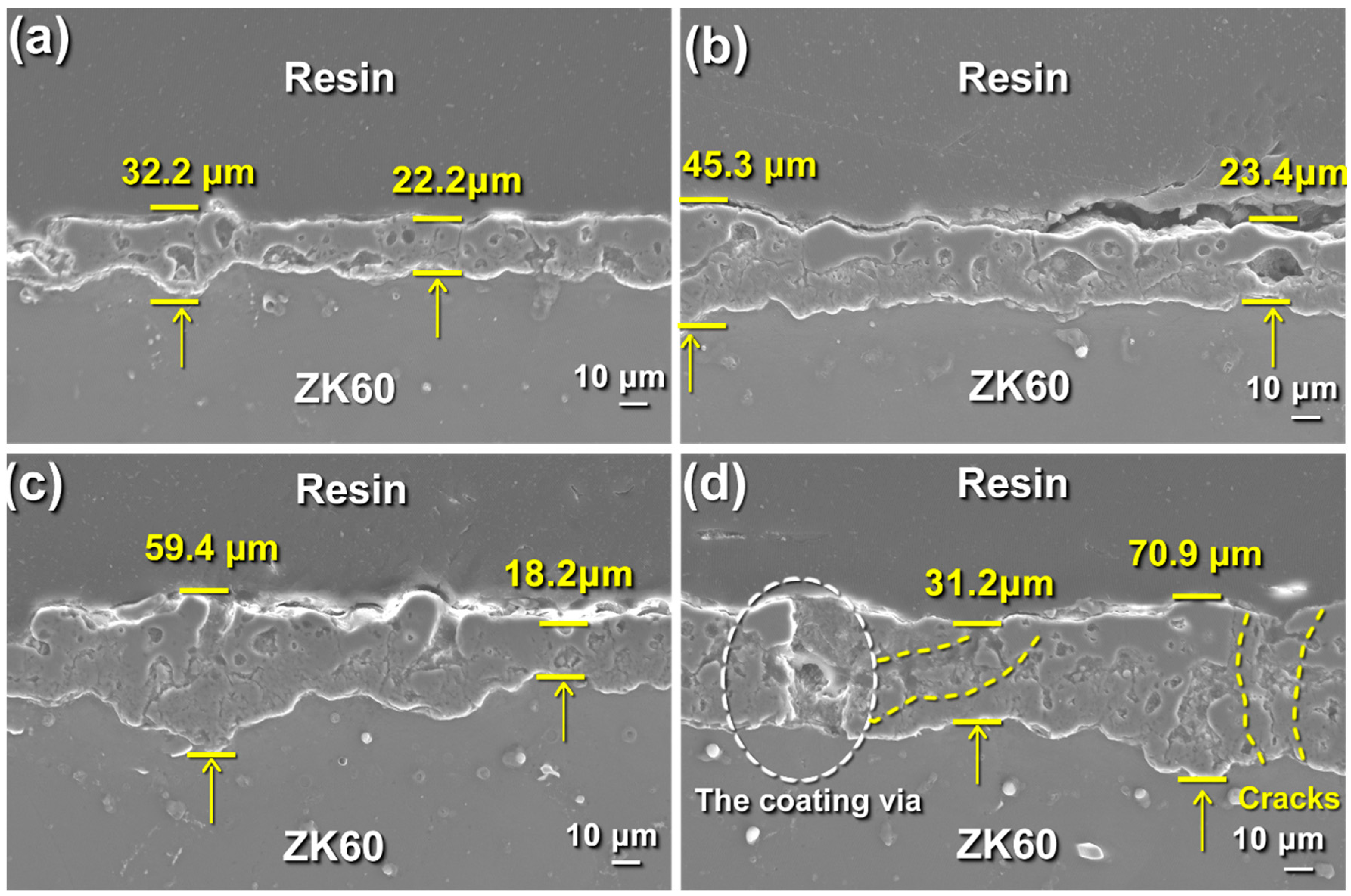 Coatings 14 00353 g005