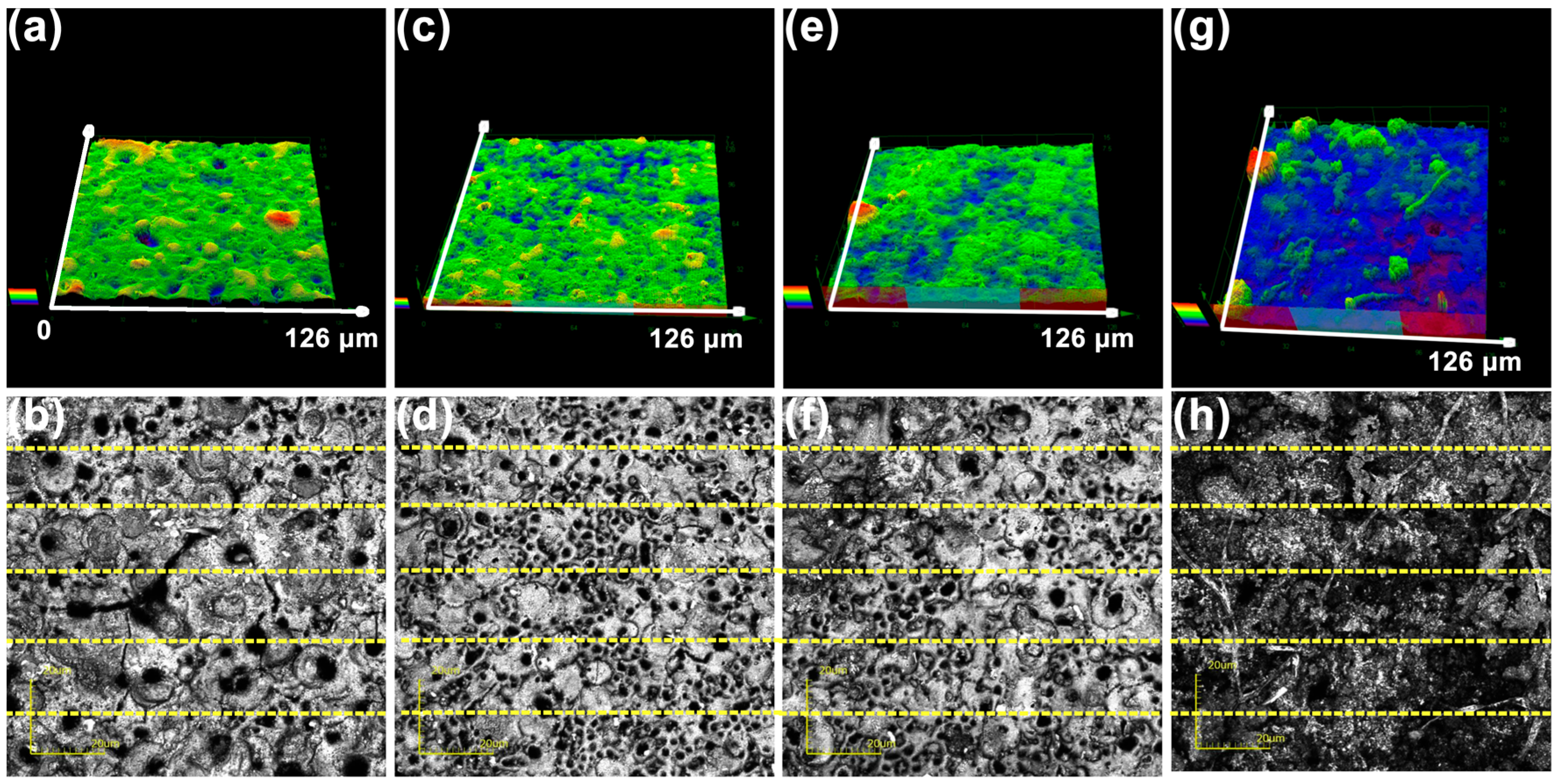 Coatings 14 00353 g006
