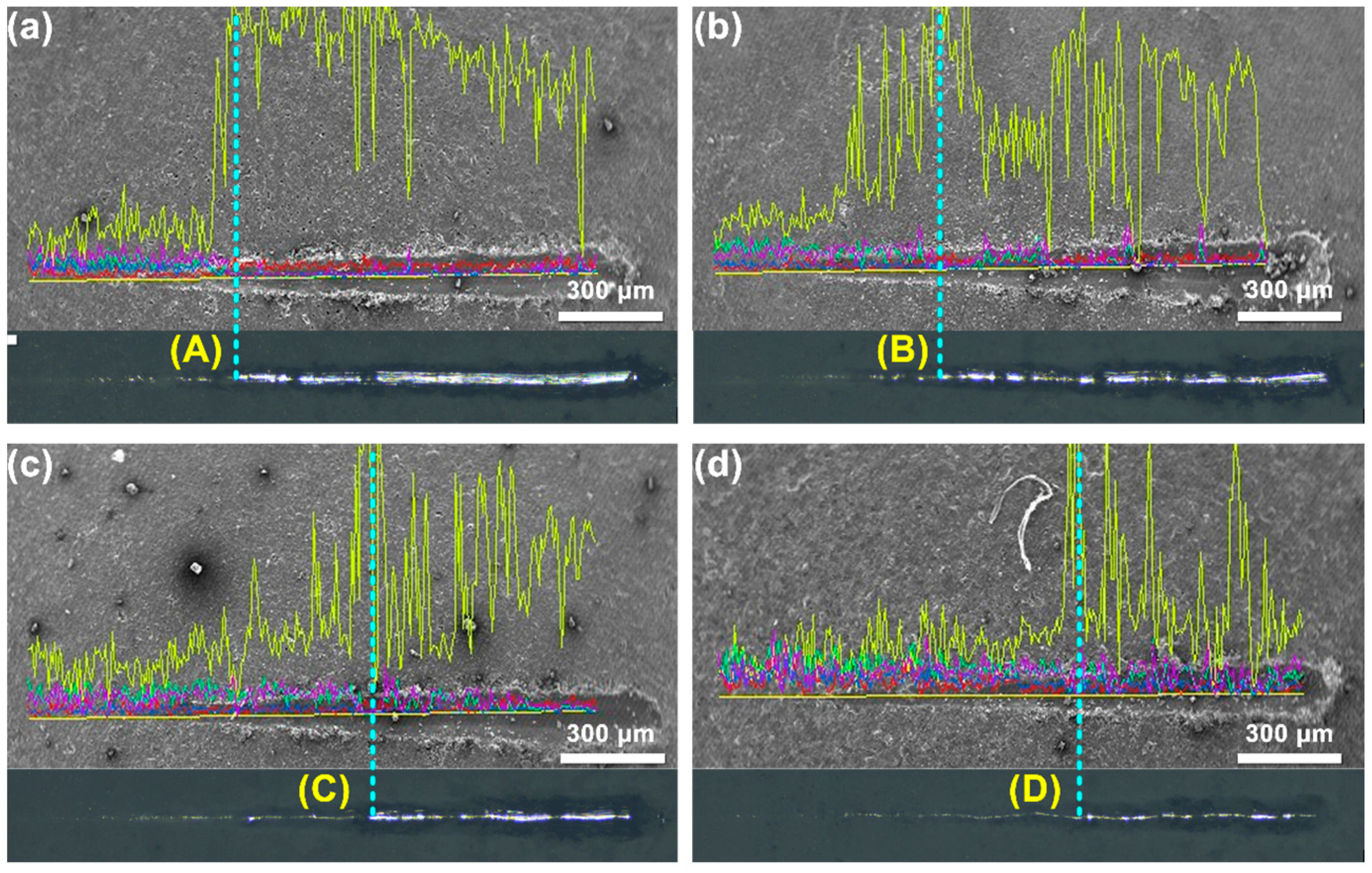 Coatings 14 00353 g008