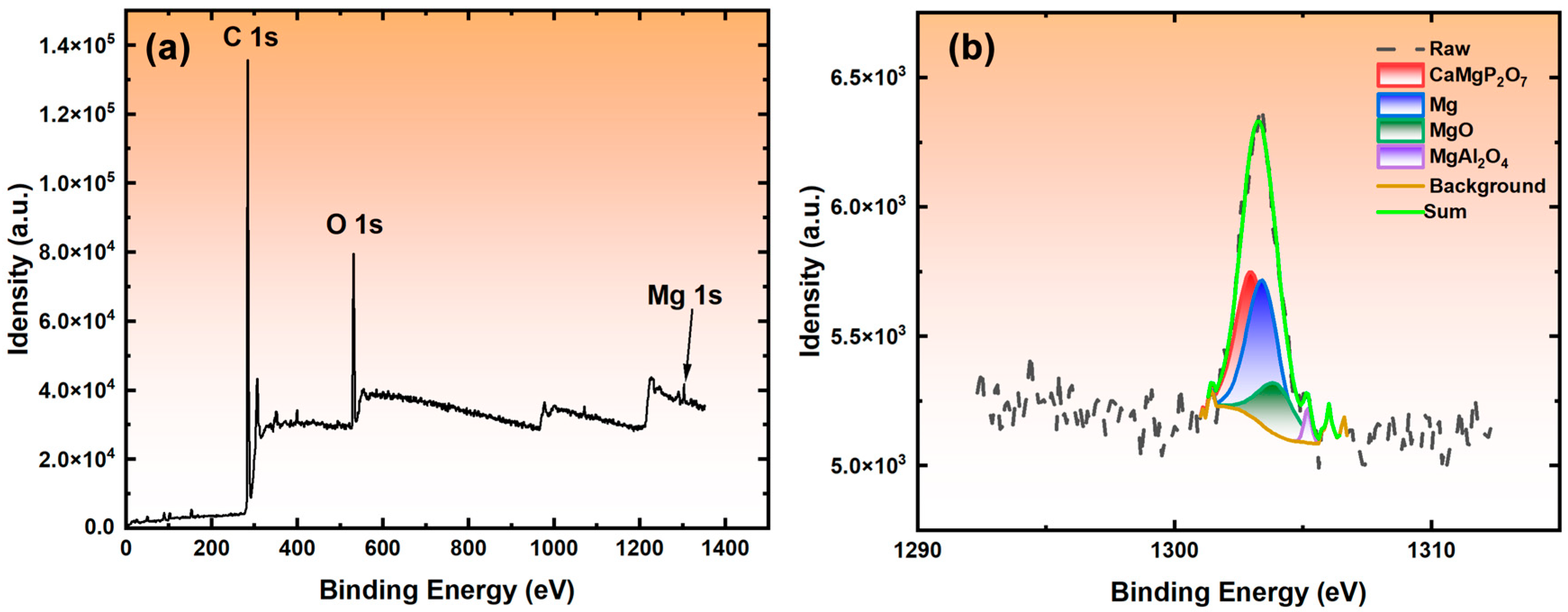 Coatings 14 00353 g012