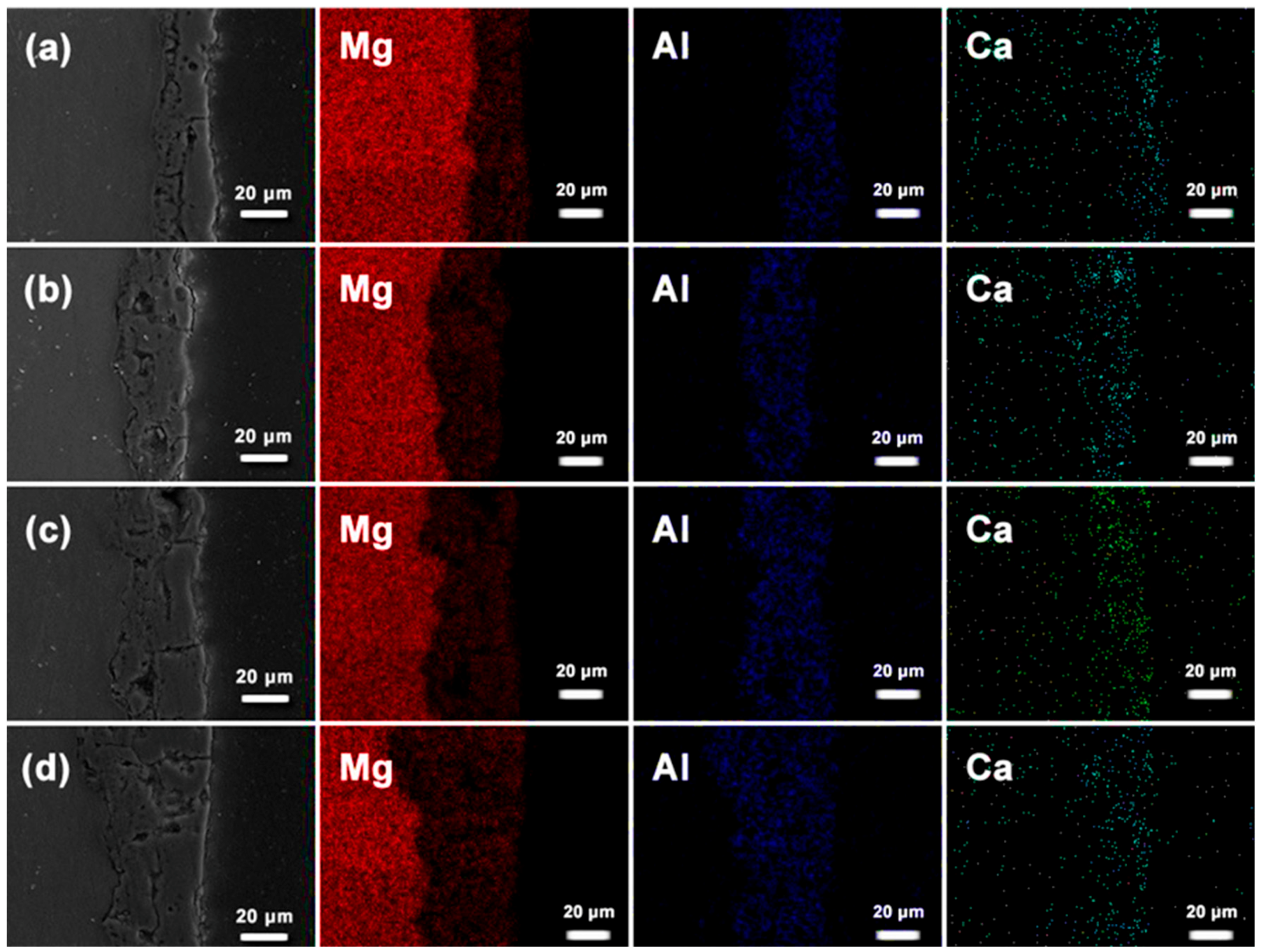 Coatings 14 00353 g013