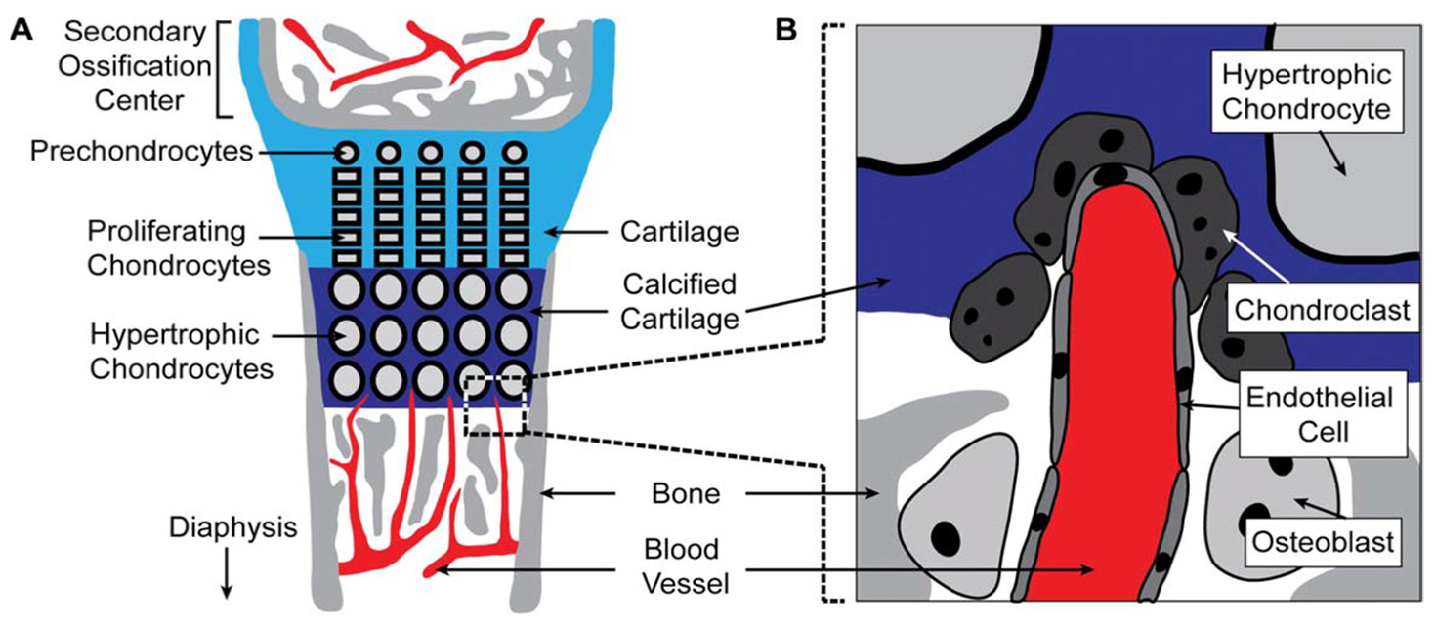 Coatings 14 00357 g001