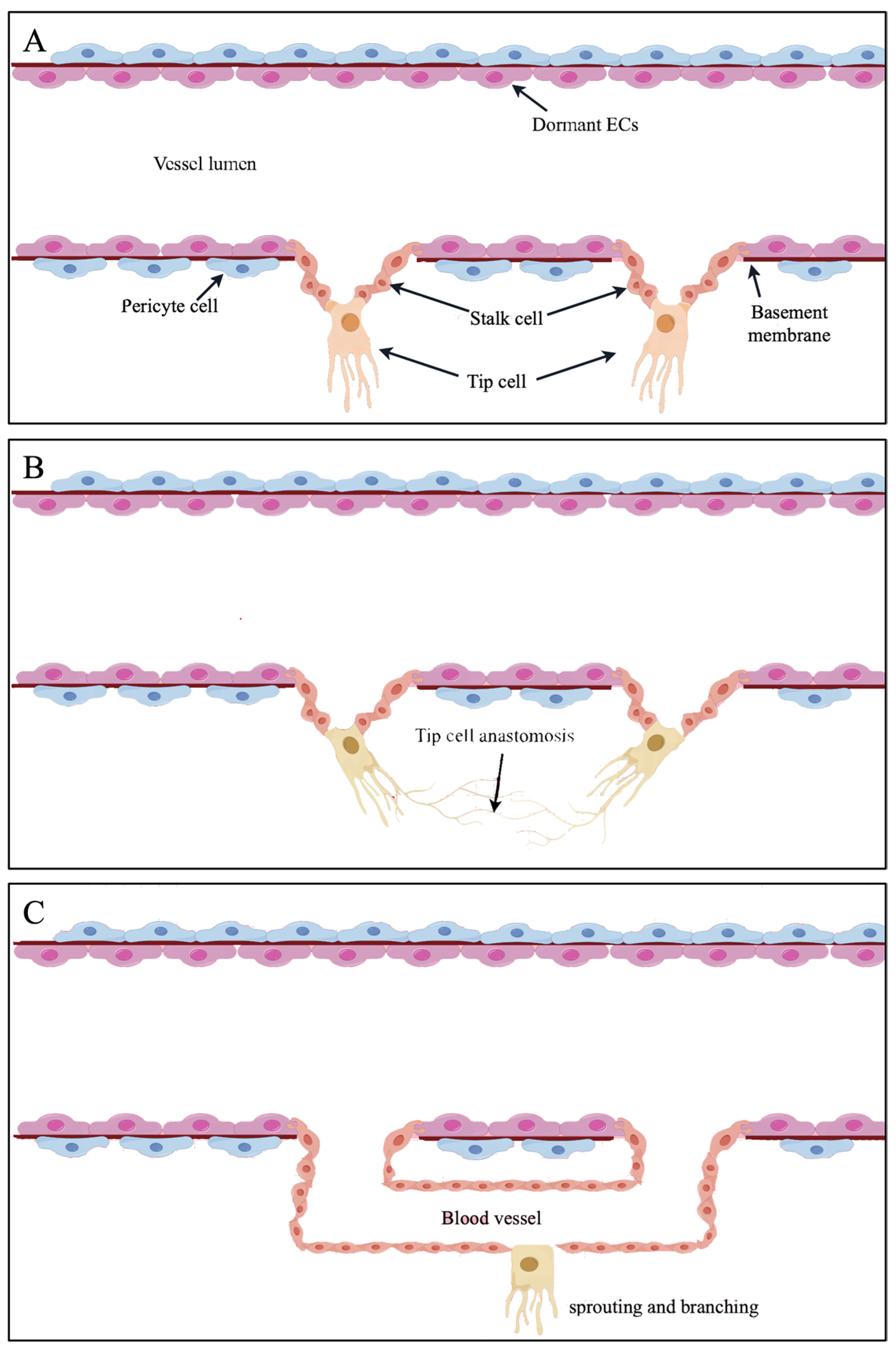 Coatings 14 00357 g002