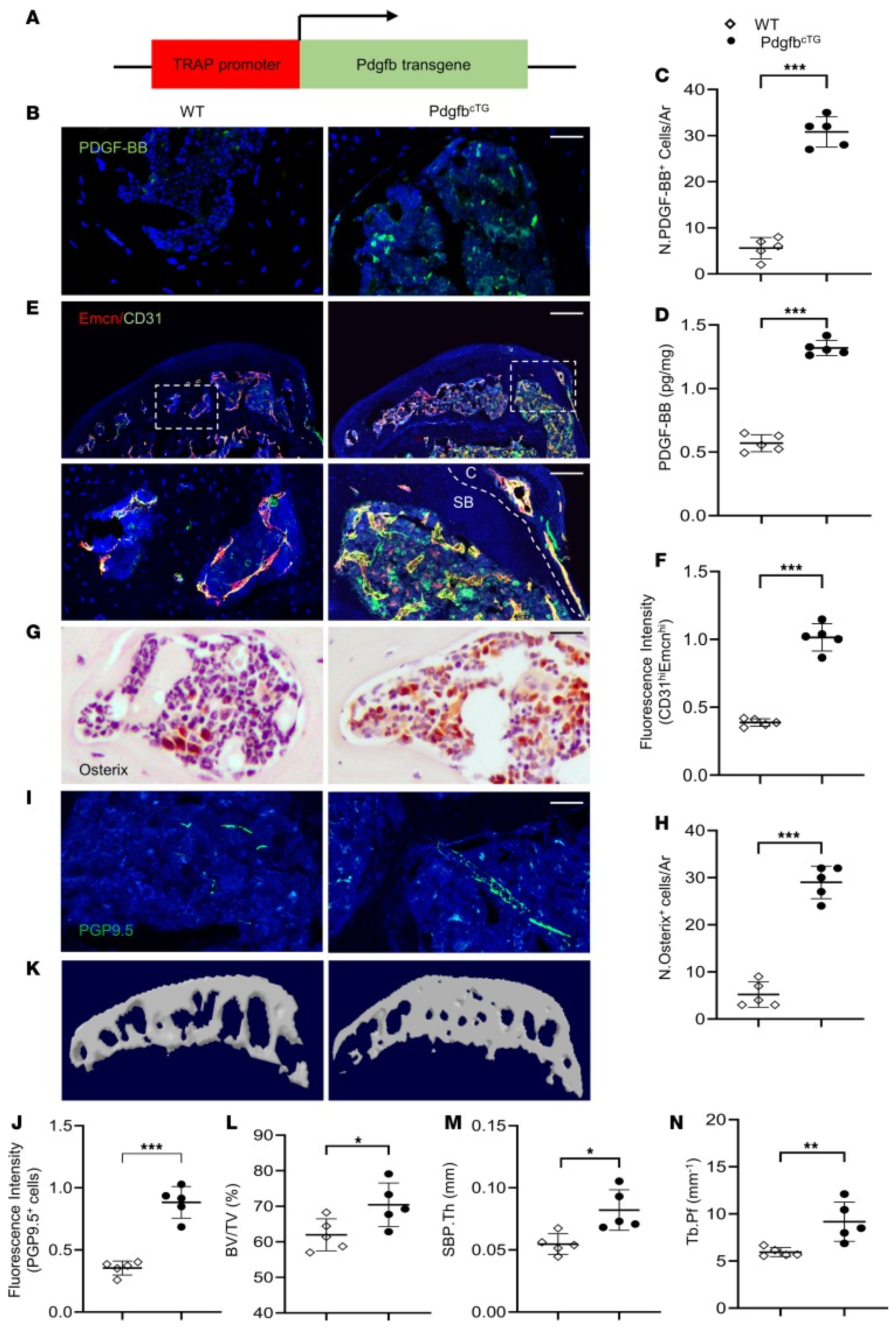 Coatings 14 00357 g003