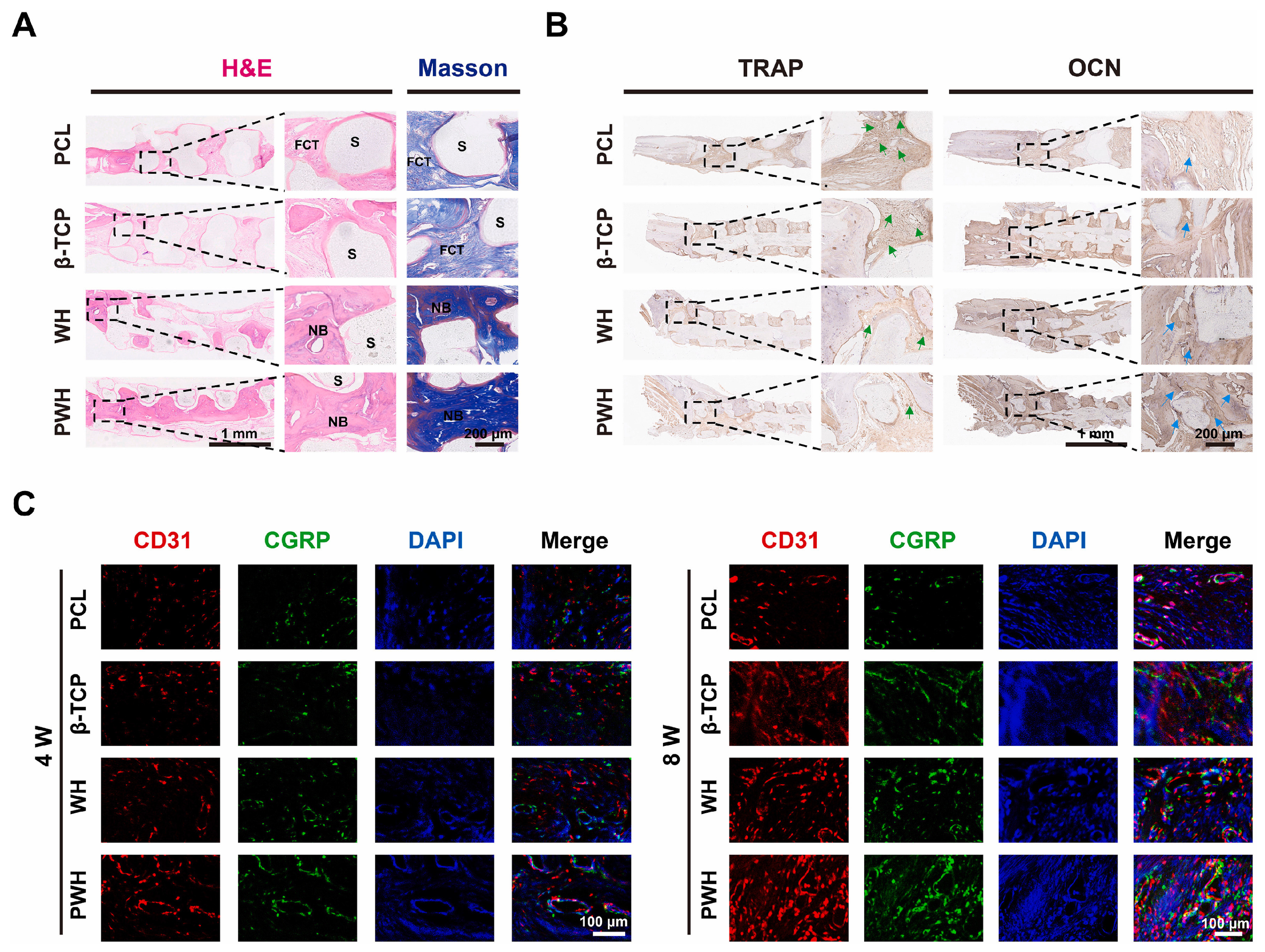 Coatings 14 00357 g004