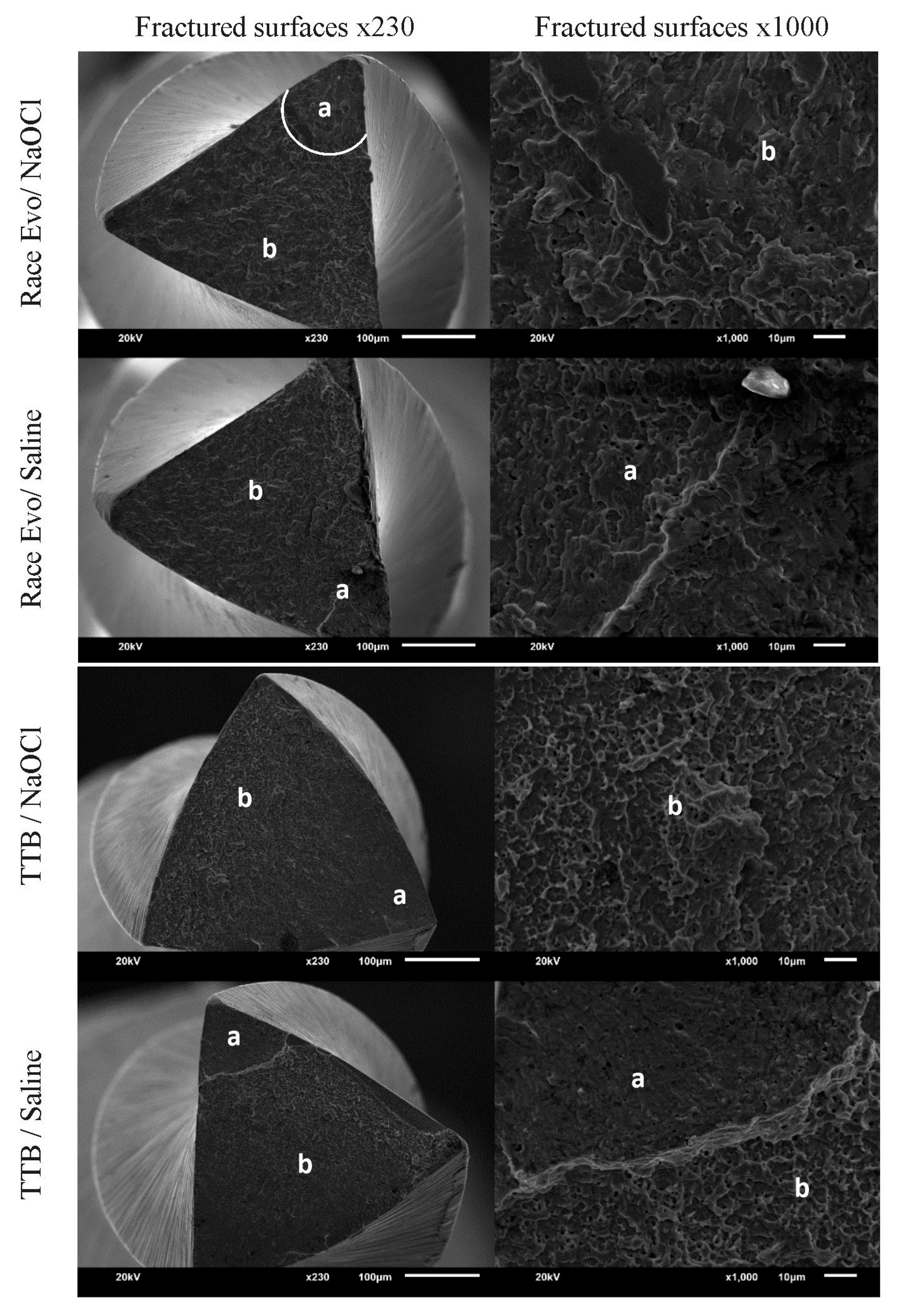 Coatings 14 00361 g002 Coatings 14 00361 g002