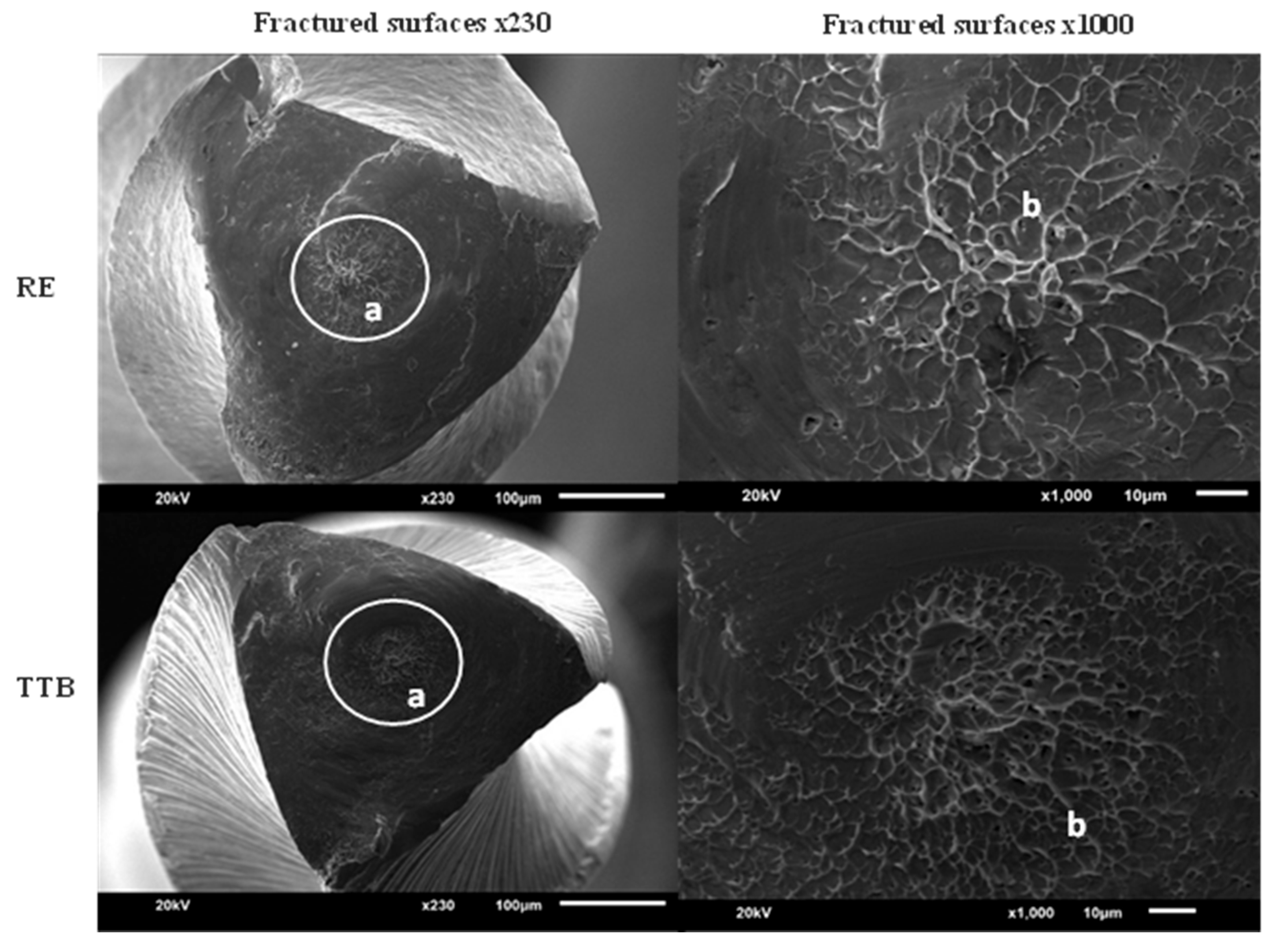 Coatings 14 00361 g003 Coatings 14 00361 g003