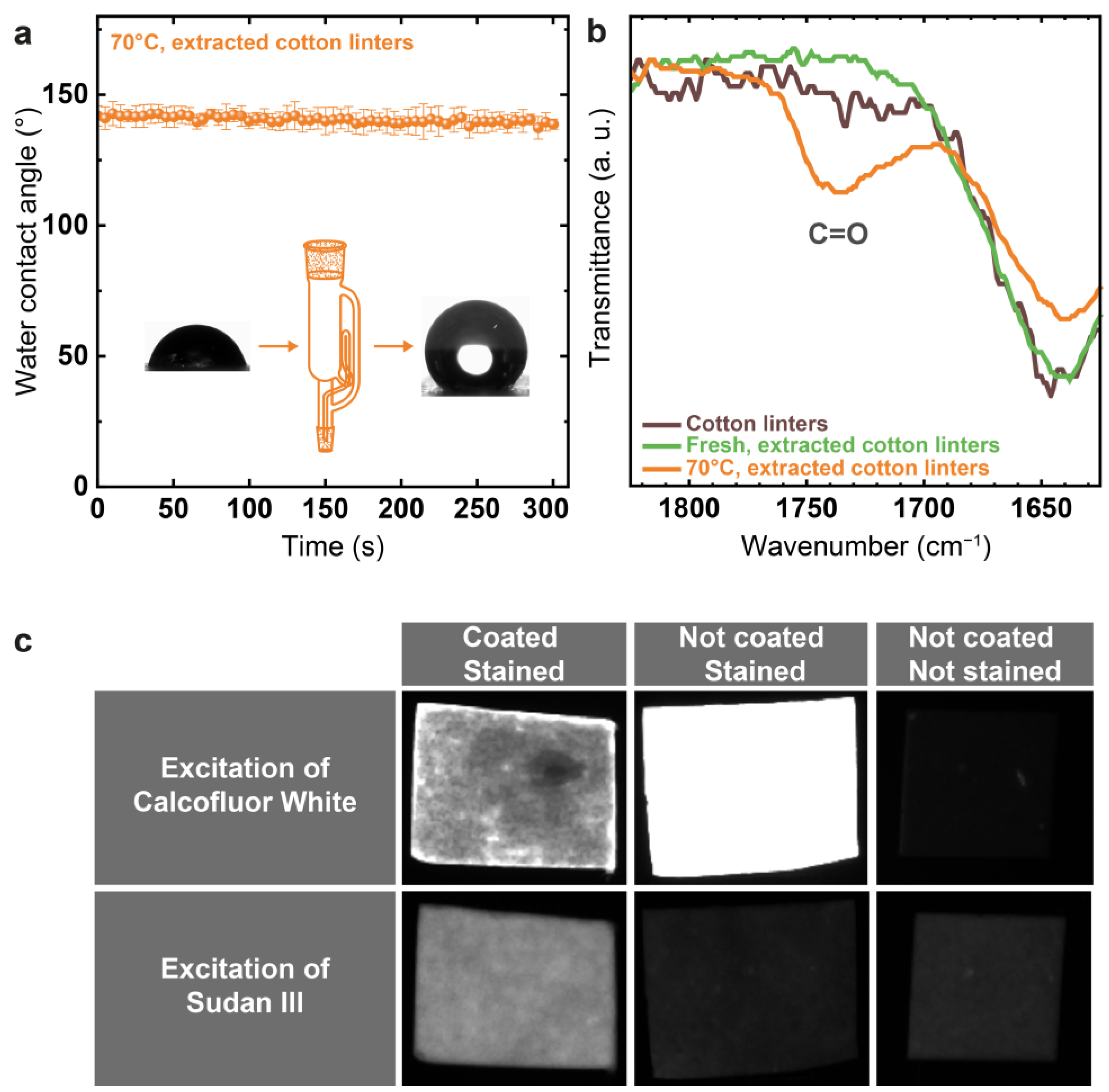 Coatings 14 00364 g002