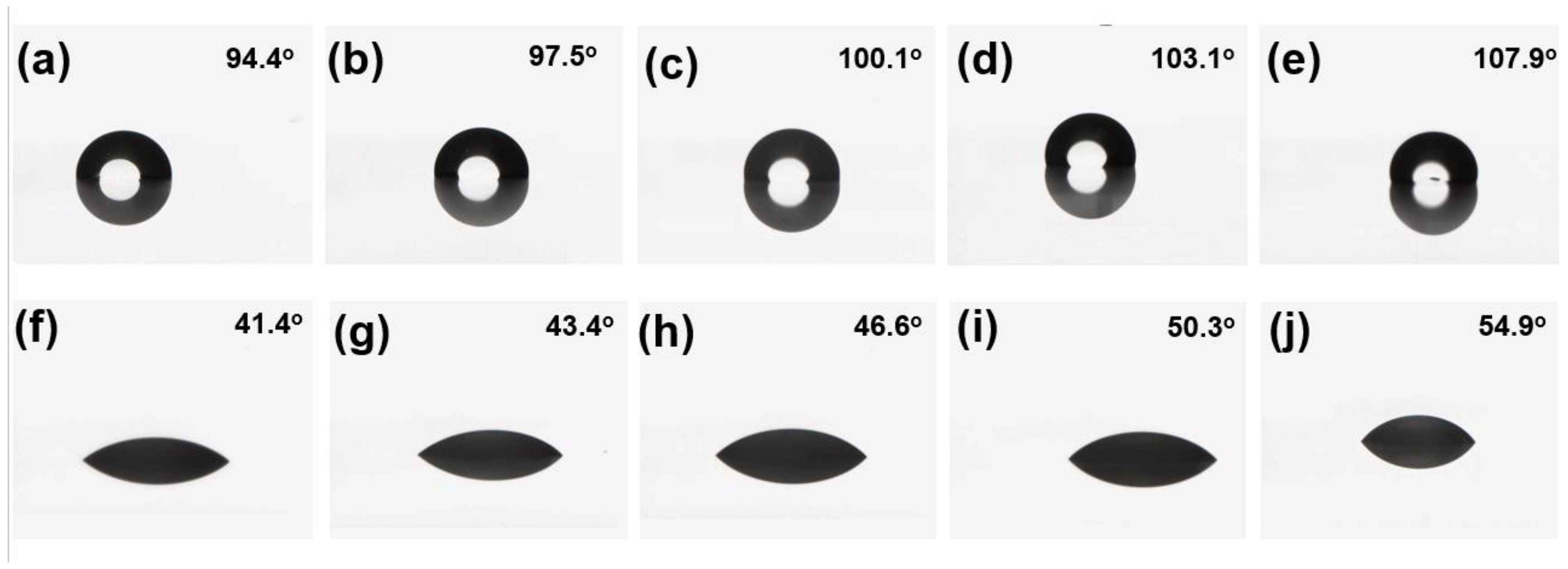 Coatings 14 00365 g010