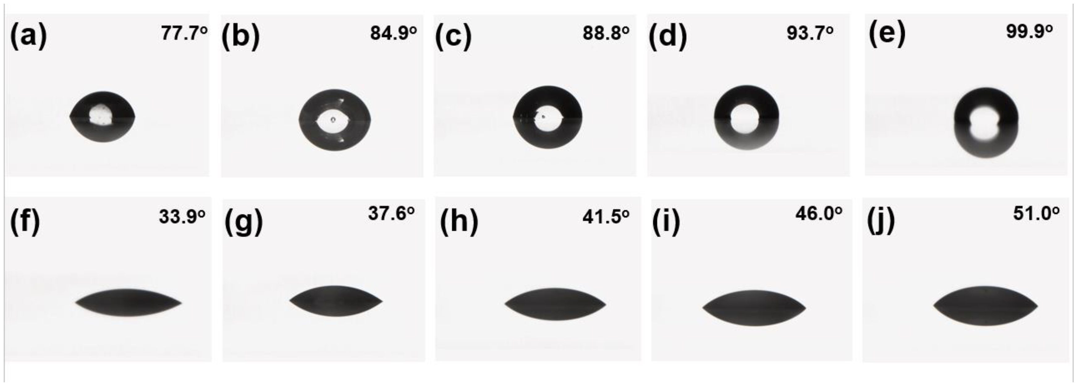 Coatings 14 00365 g012