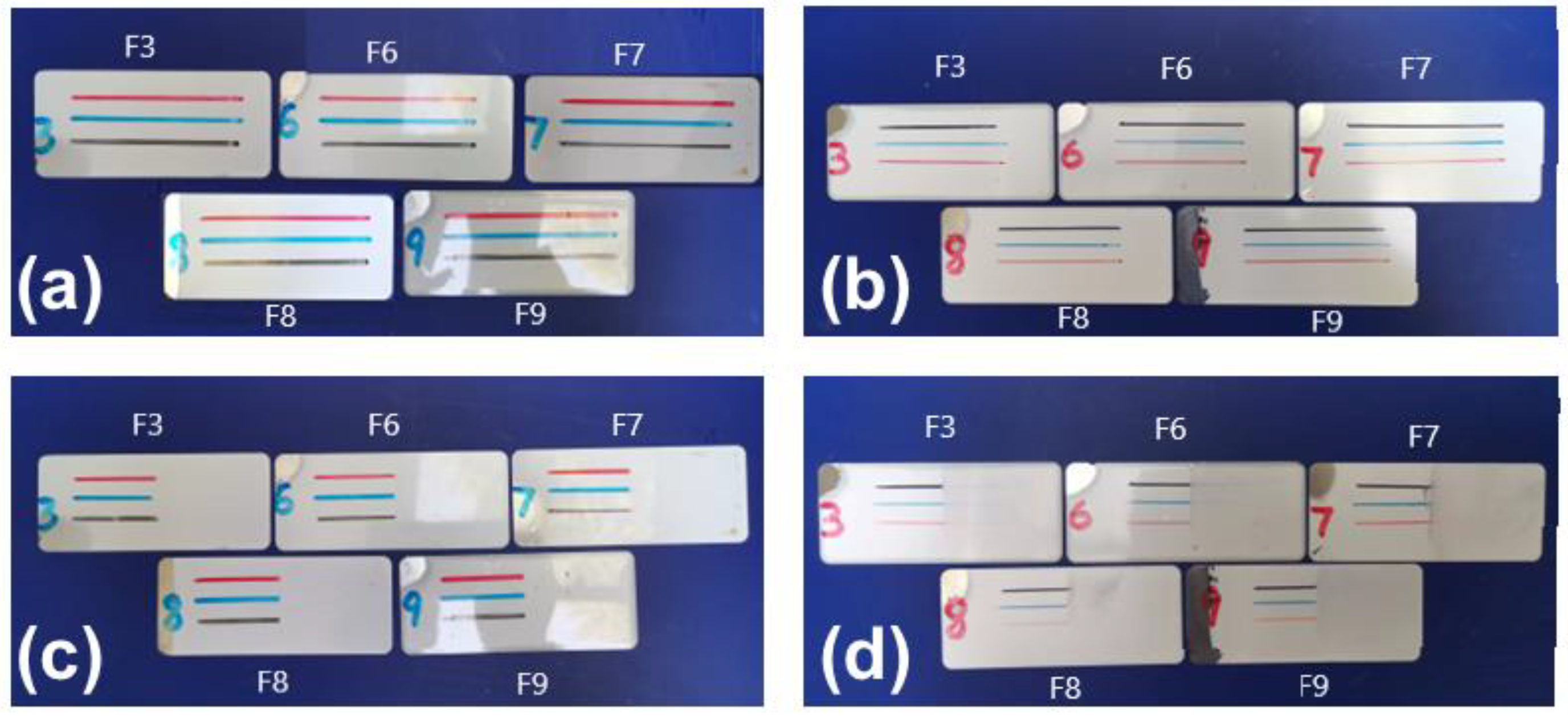Coatings 14 00365 g014
