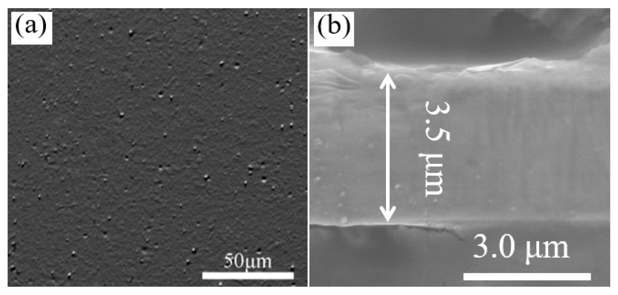 Coatings 14 00367 g002