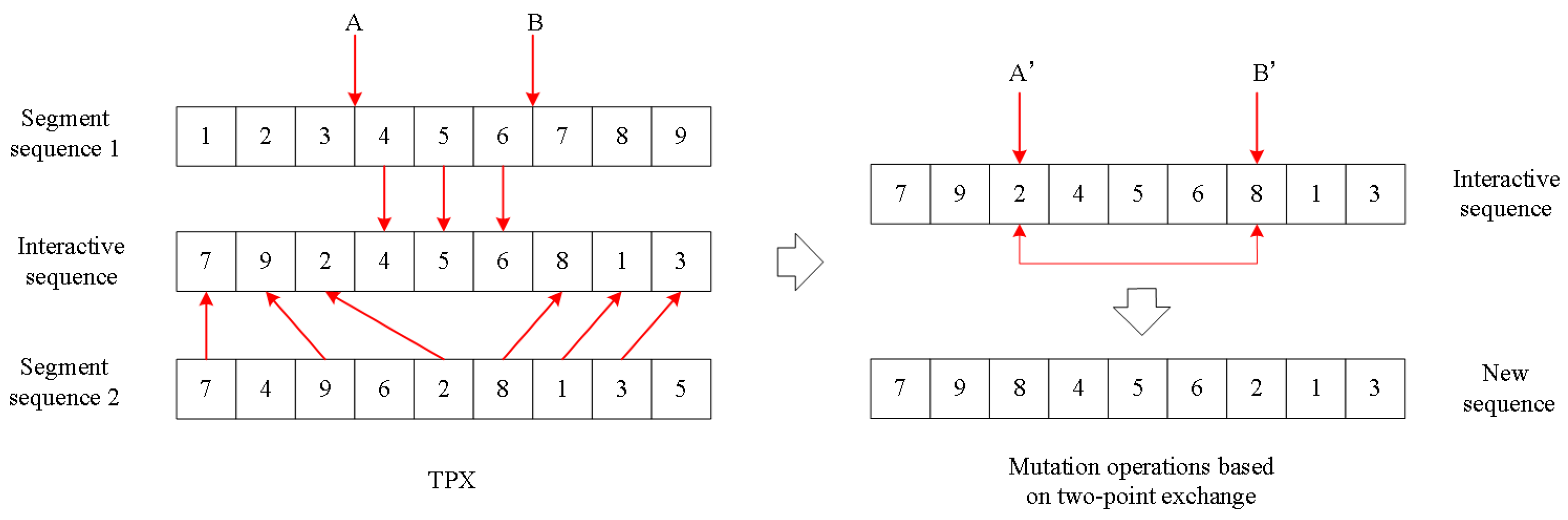 Coatings 14 00368 g006