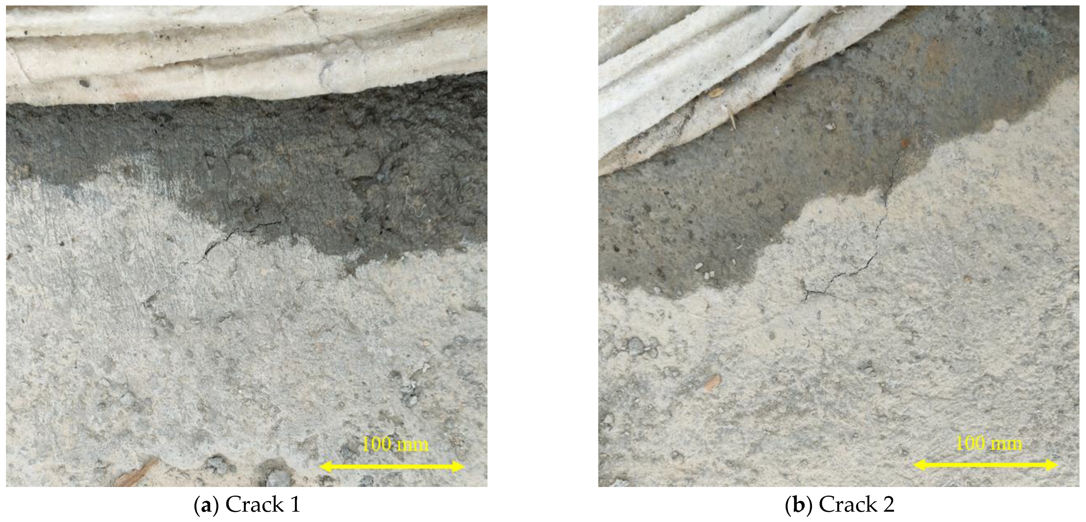 Coatings 14 00369 g012