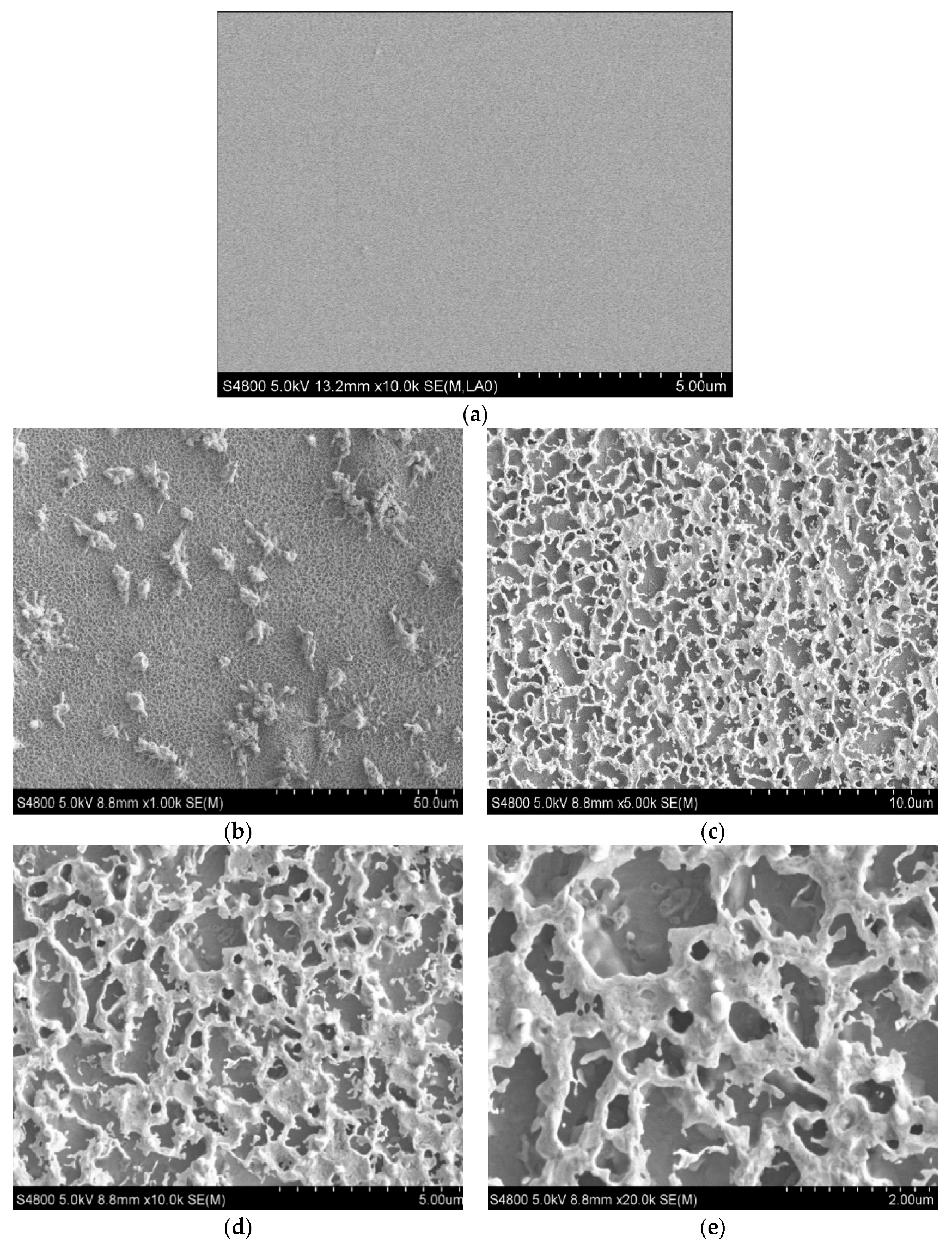 Coatings 14 00370 g002 Coatings 14 00370 g002