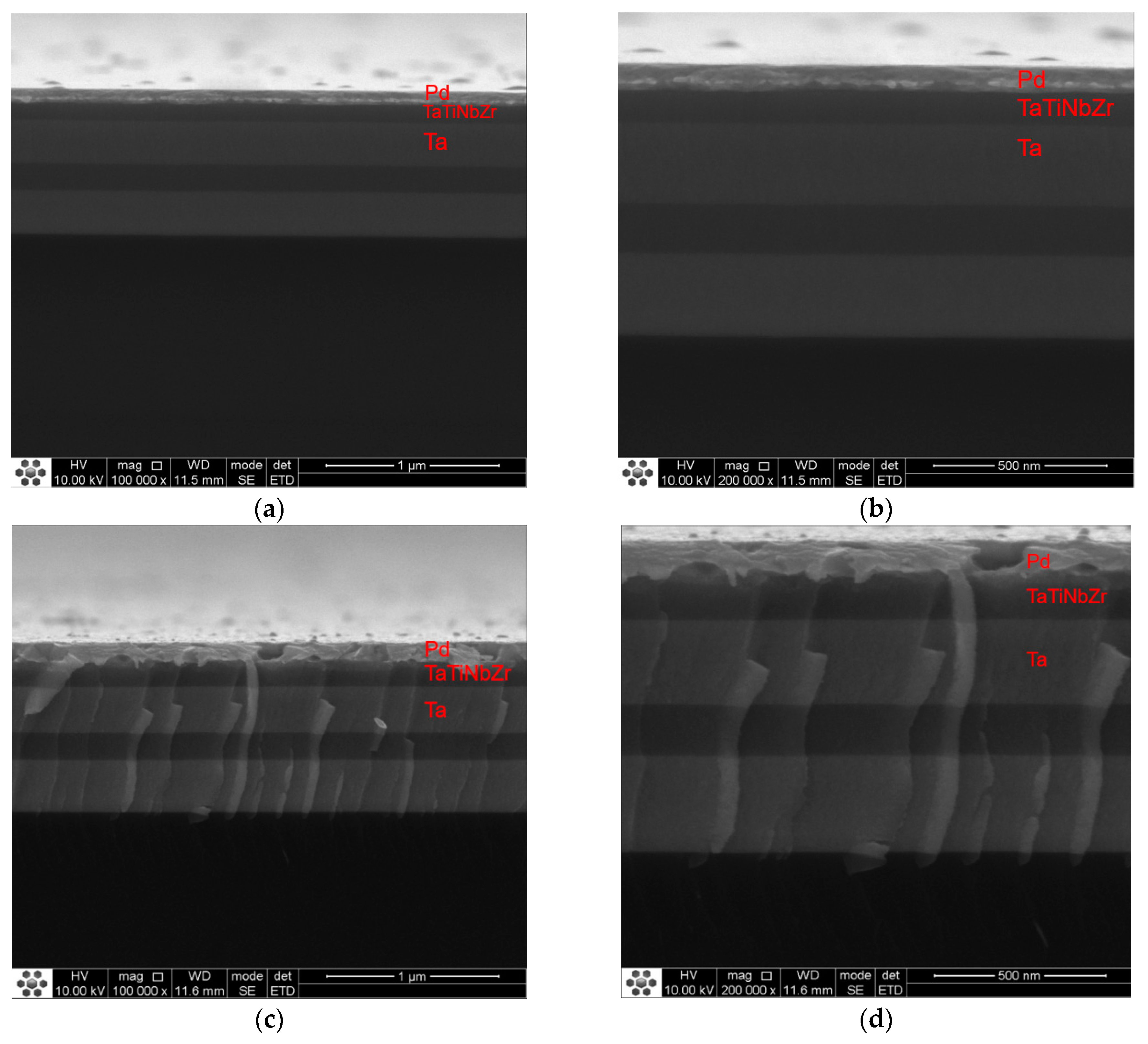 Coatings 14 00370 g003a Coatings 14 00370 g003a