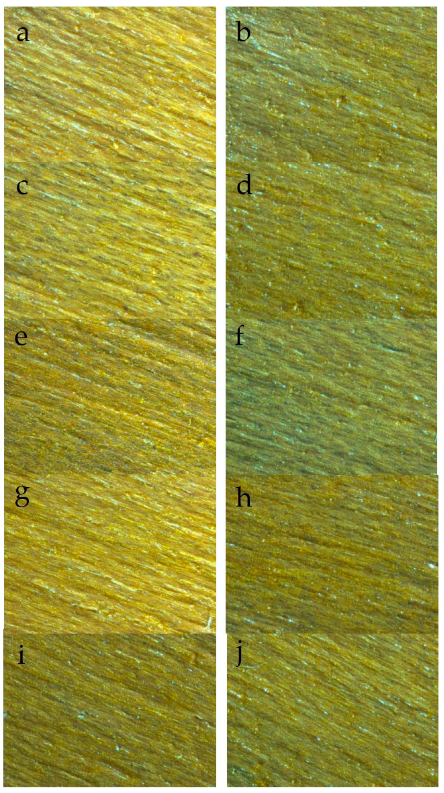 Coatings 14 00371 g002