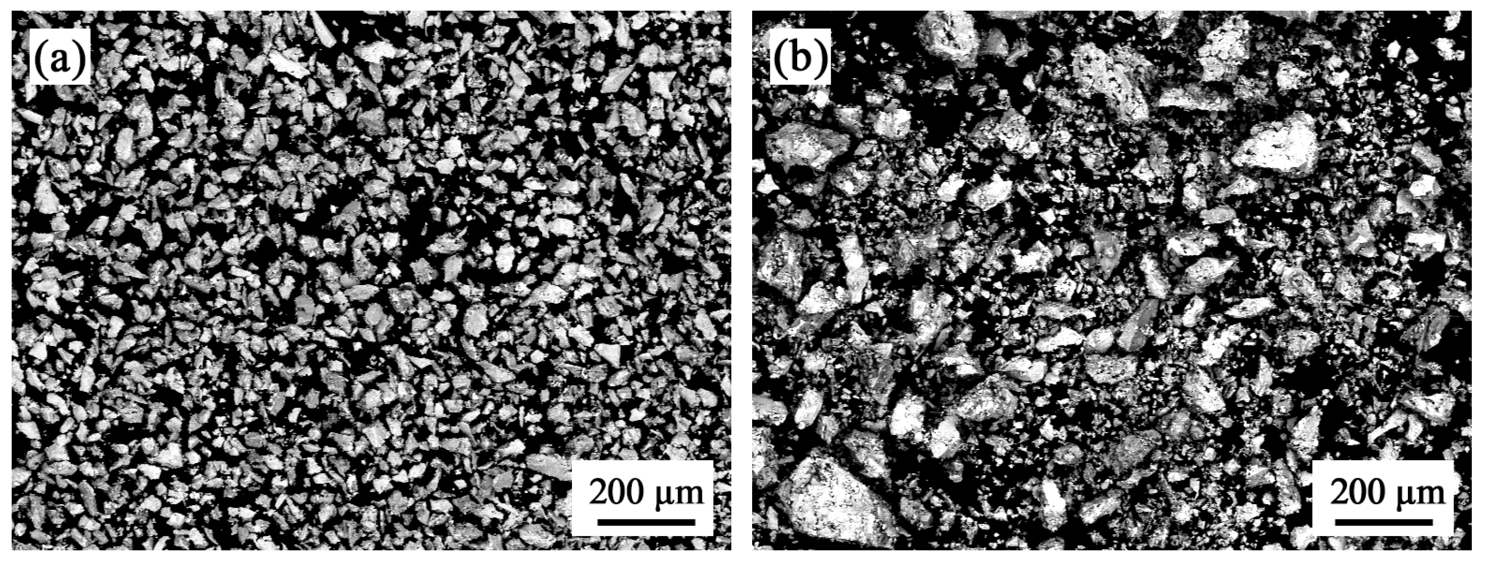 Coatings 14 00372 g001