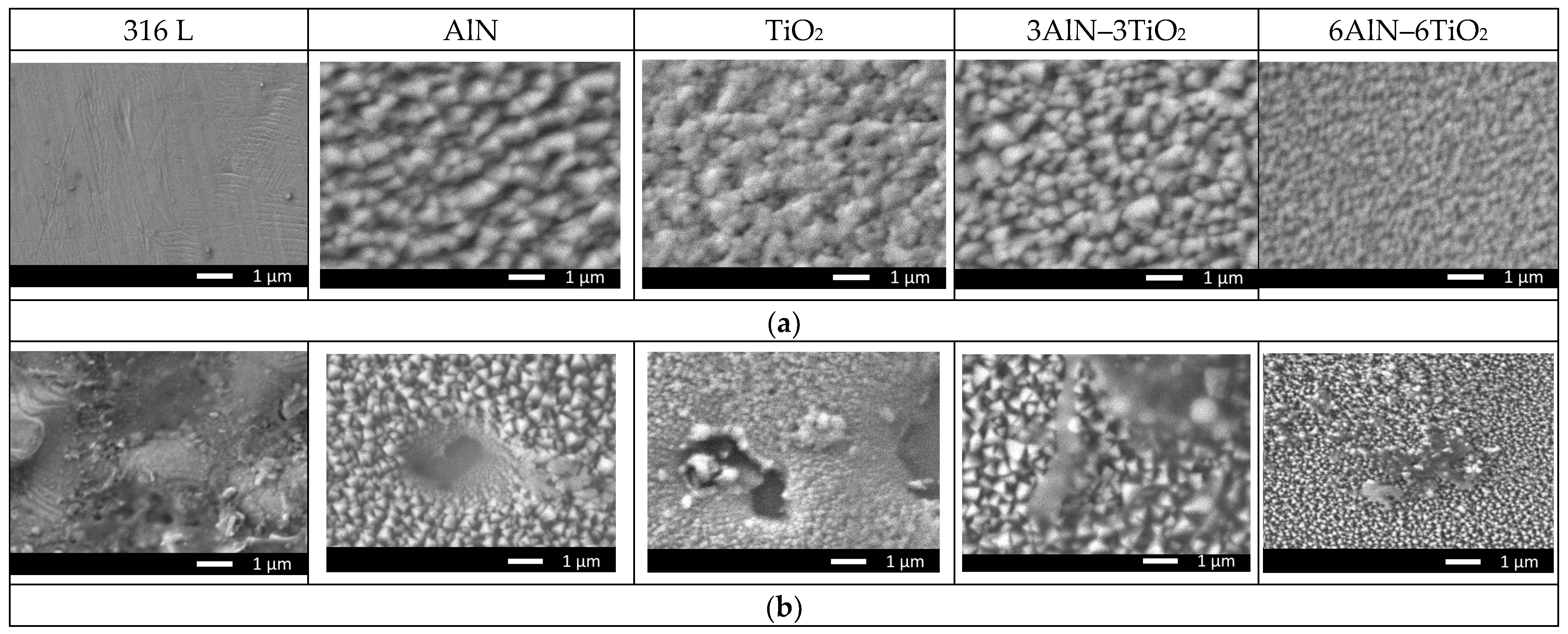 Coatings 14 00373 g003