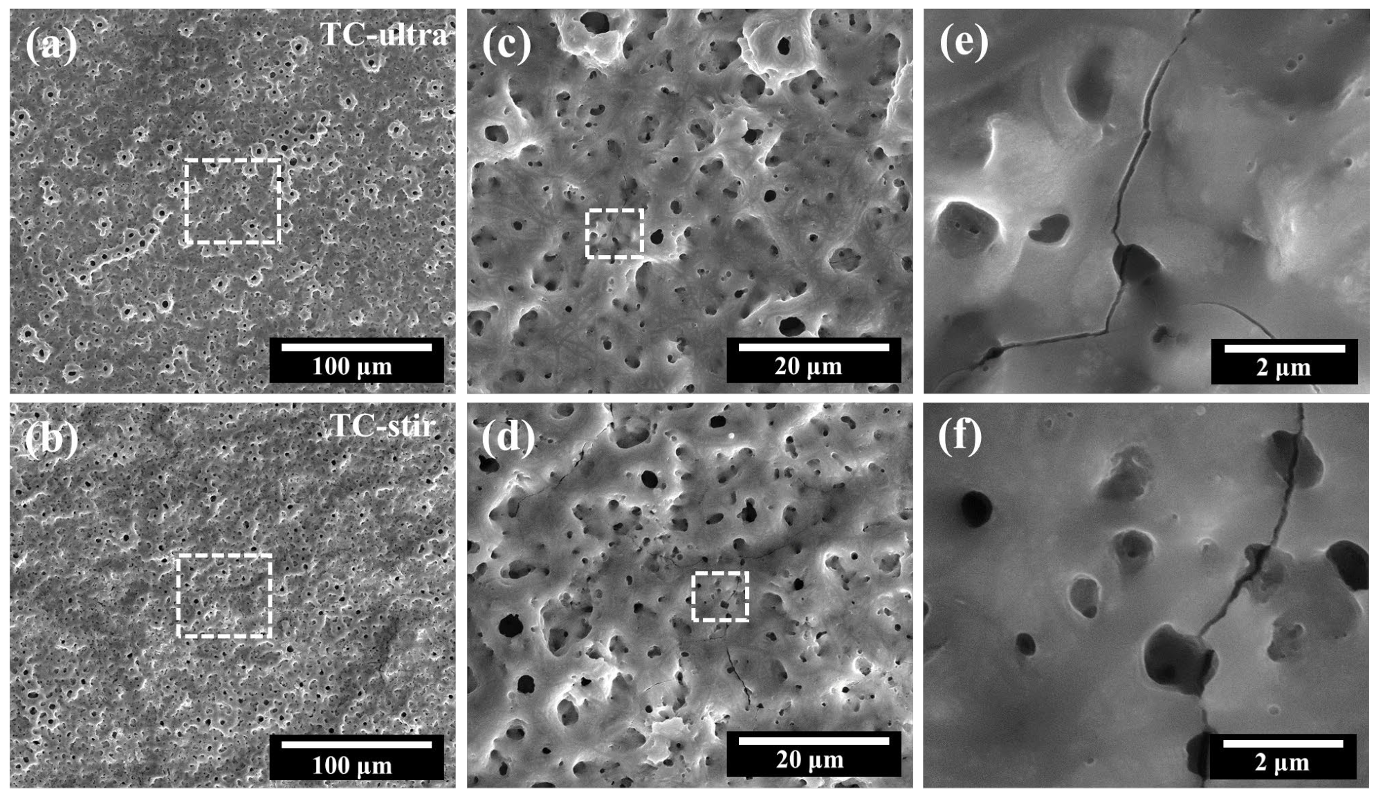 Coatings 14 00376 g002