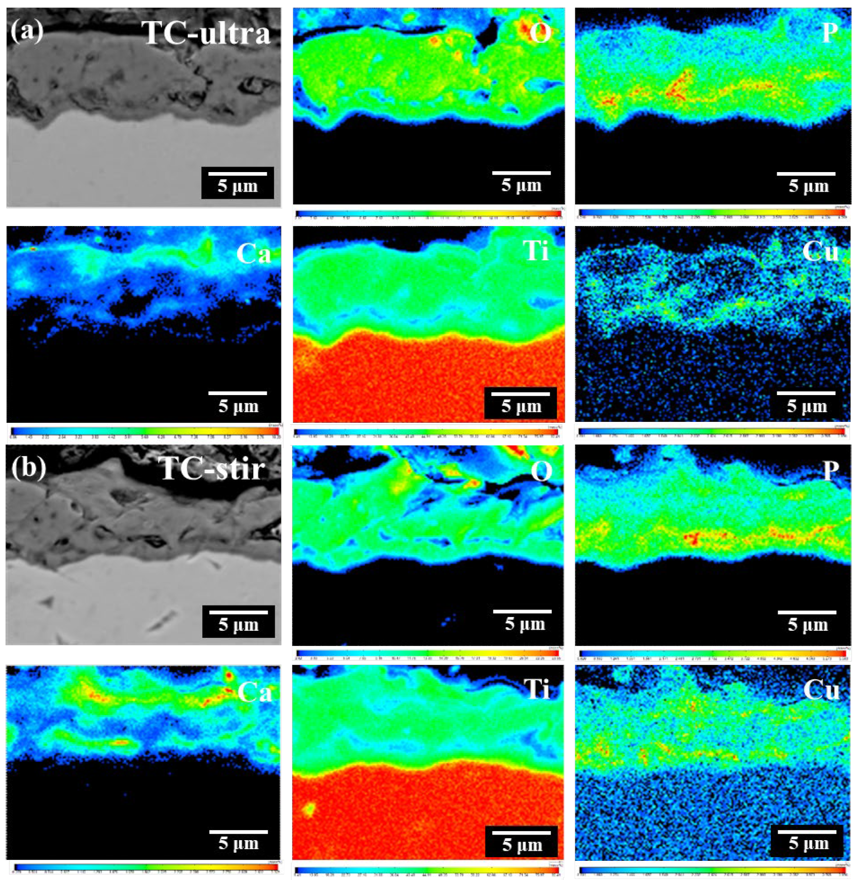 Coatings 14 00376 g005