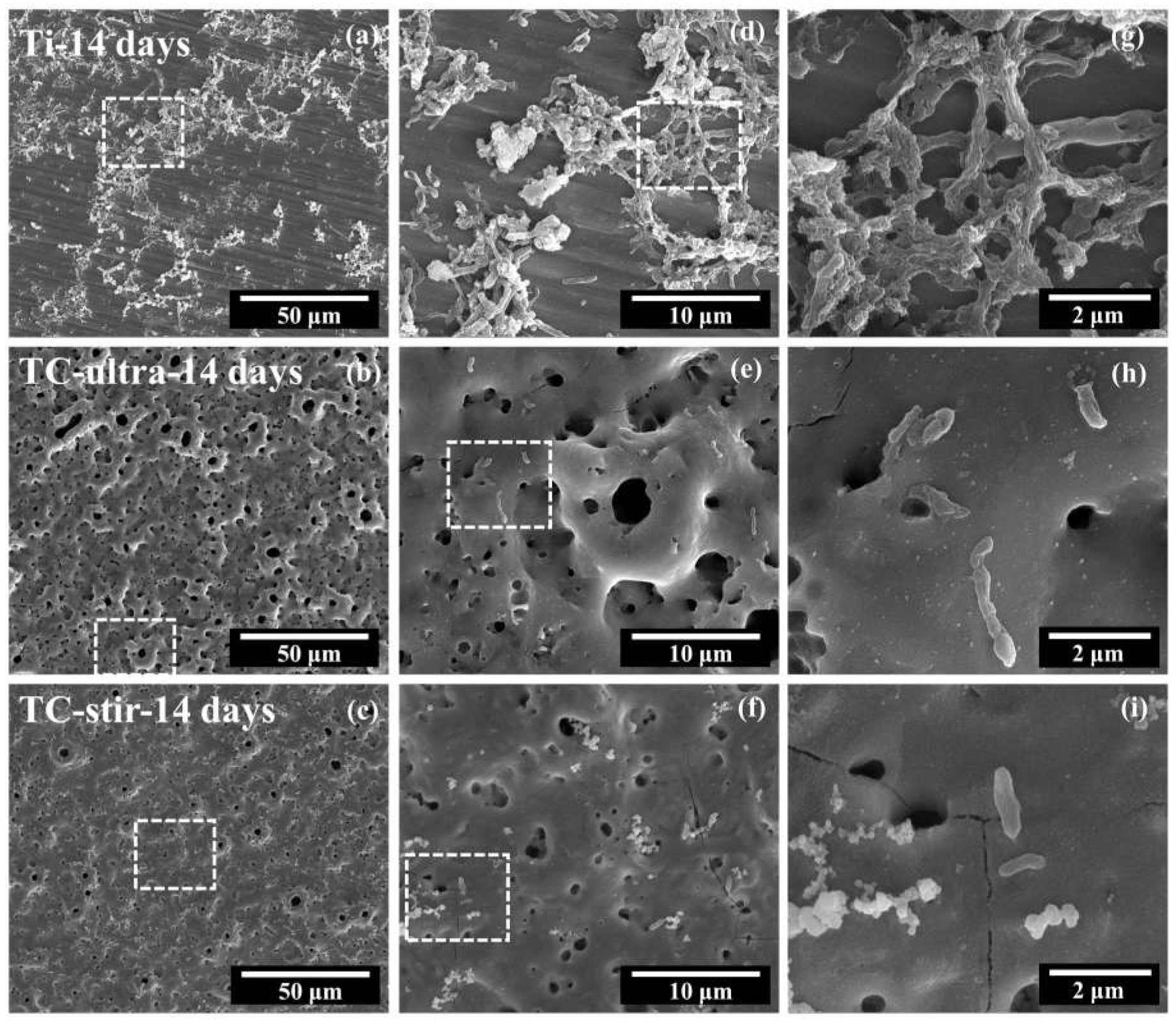 Coatings 14 00376 g010