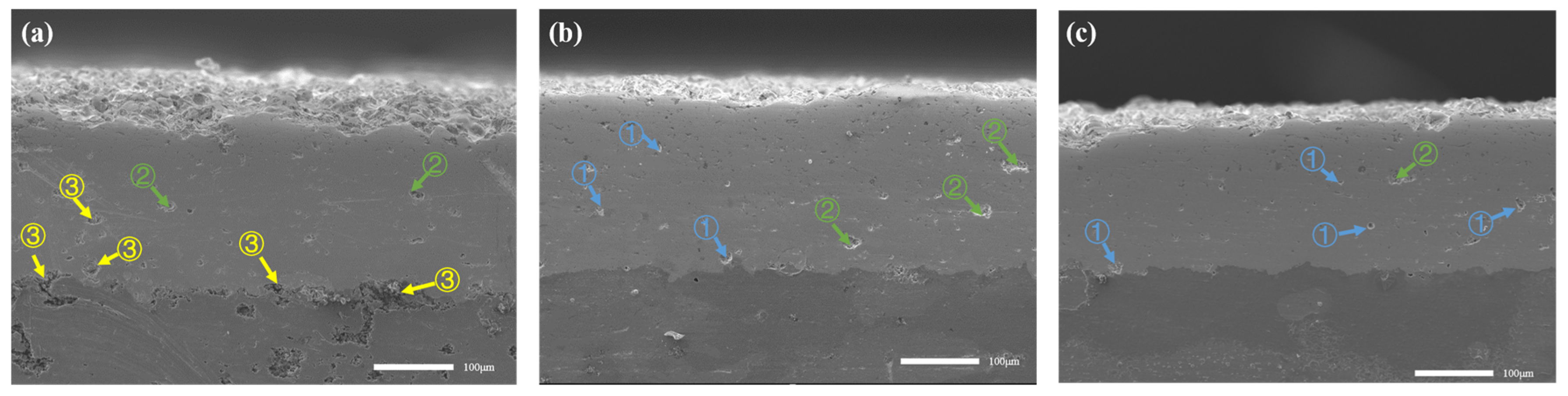 Coatings 14 00377 g008