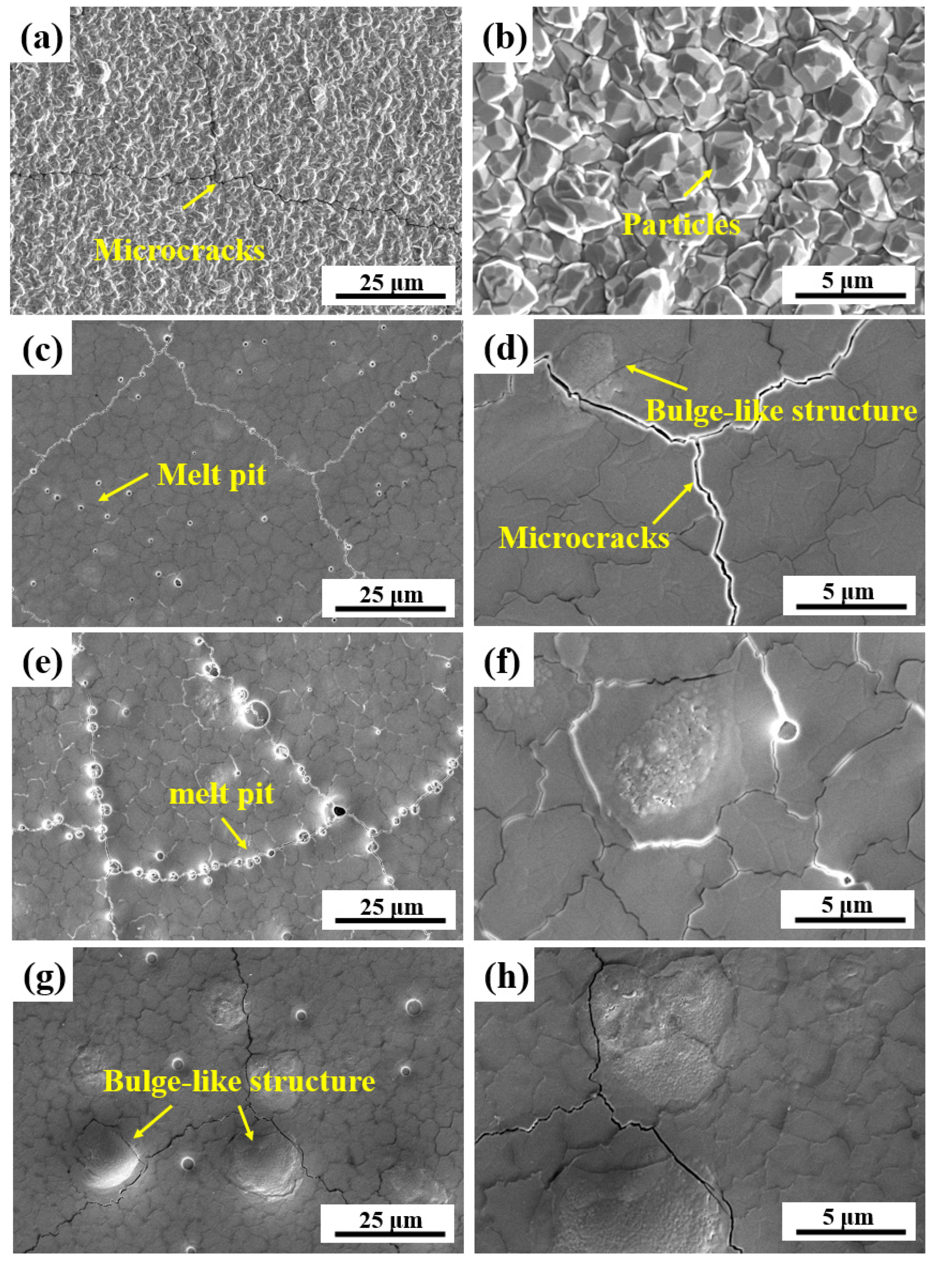 Coatings 14 00378 g004a