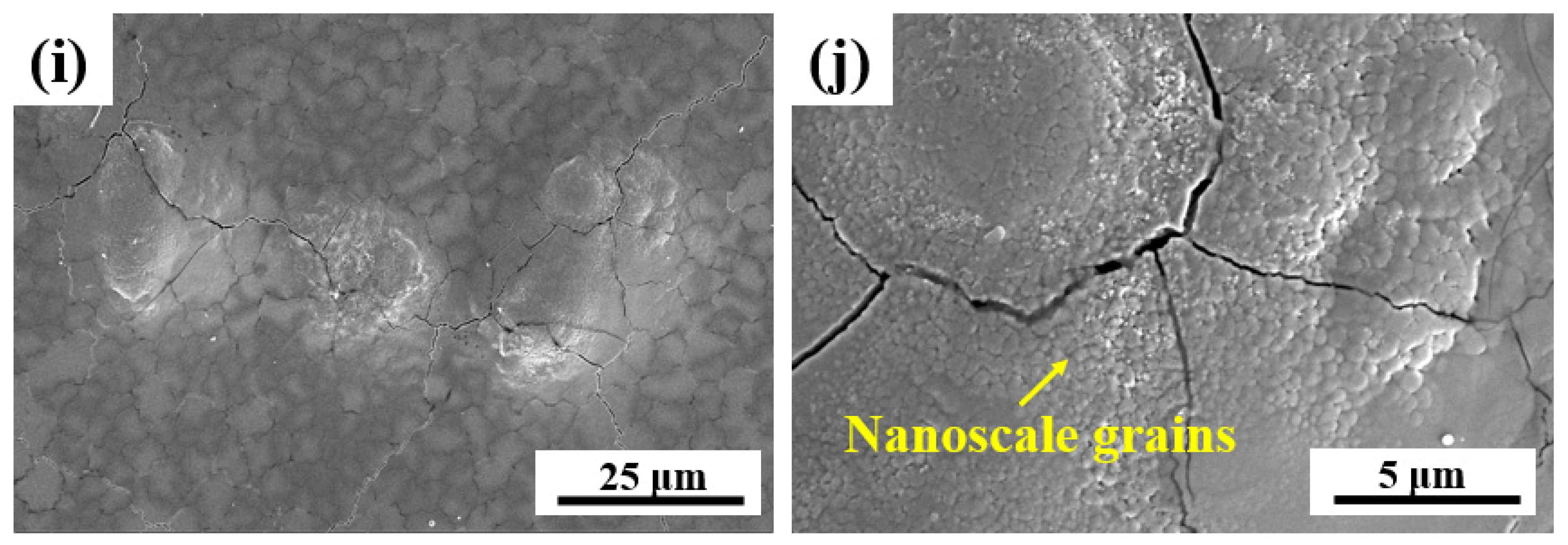 Coatings 14 00378 g004b