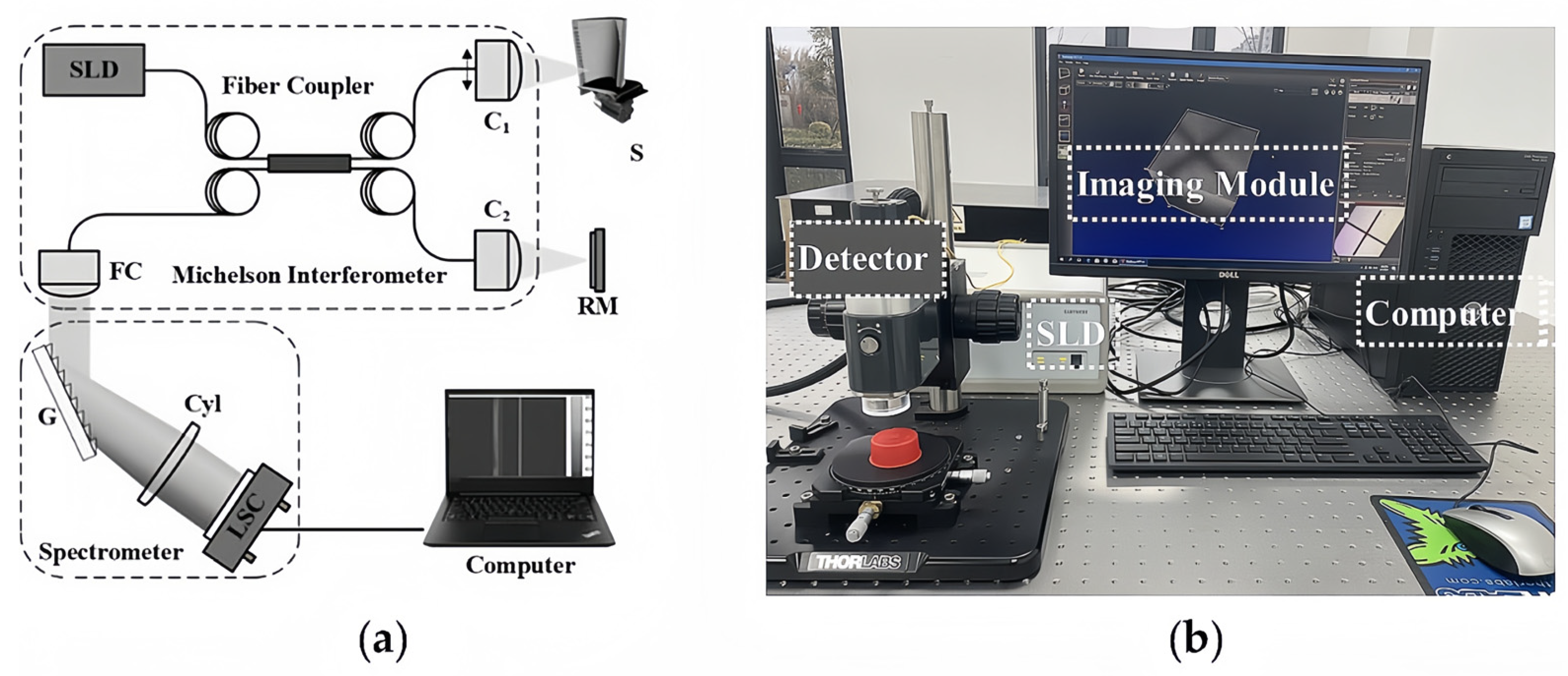 Coatings 14 00380 g003
