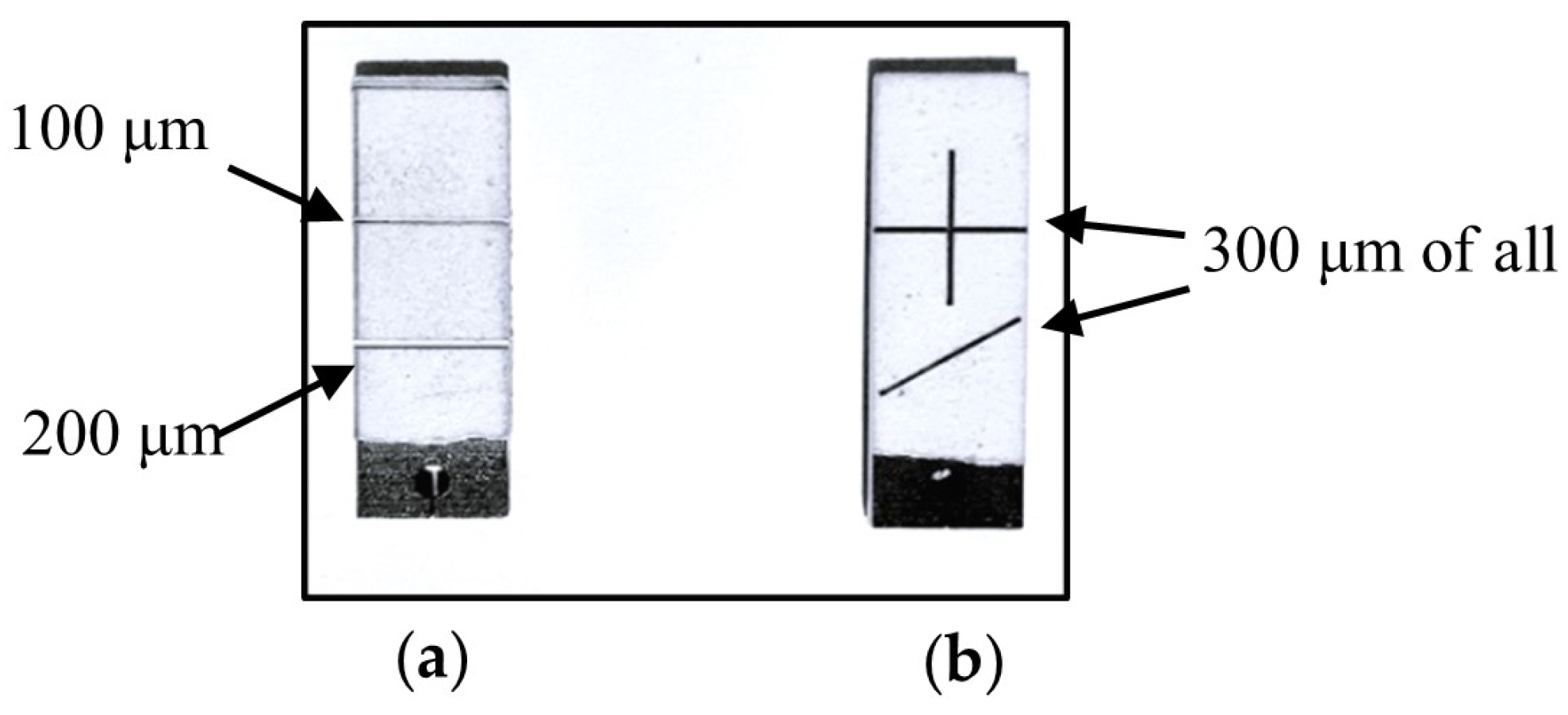 Coatings 14 00380 g006